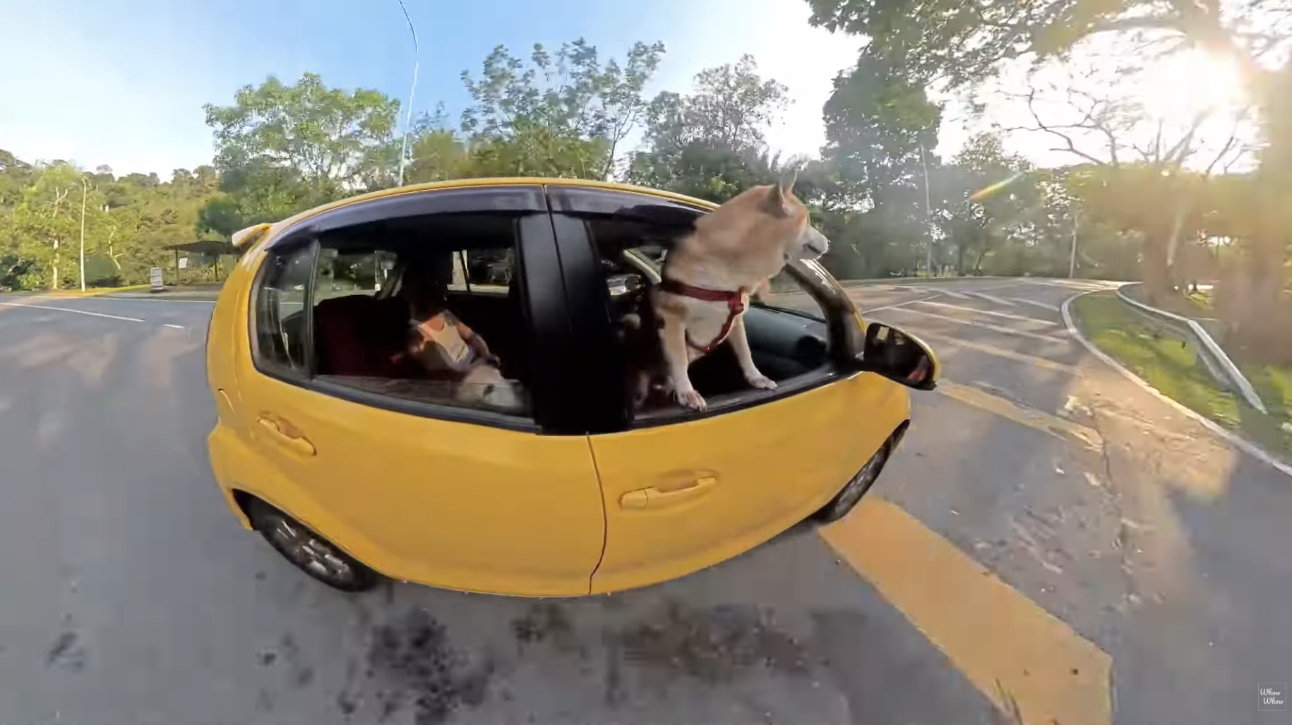 Bildschirmfoto 2026-03-02 um 19.16.03.png