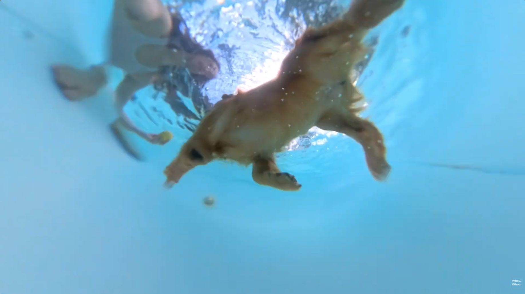 Bildschirmfoto 2026-03-08 um 15.59.26.png