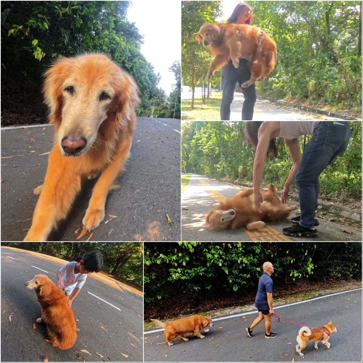 Bildschirmfoto 2026-03-05 um 20.45.44.png