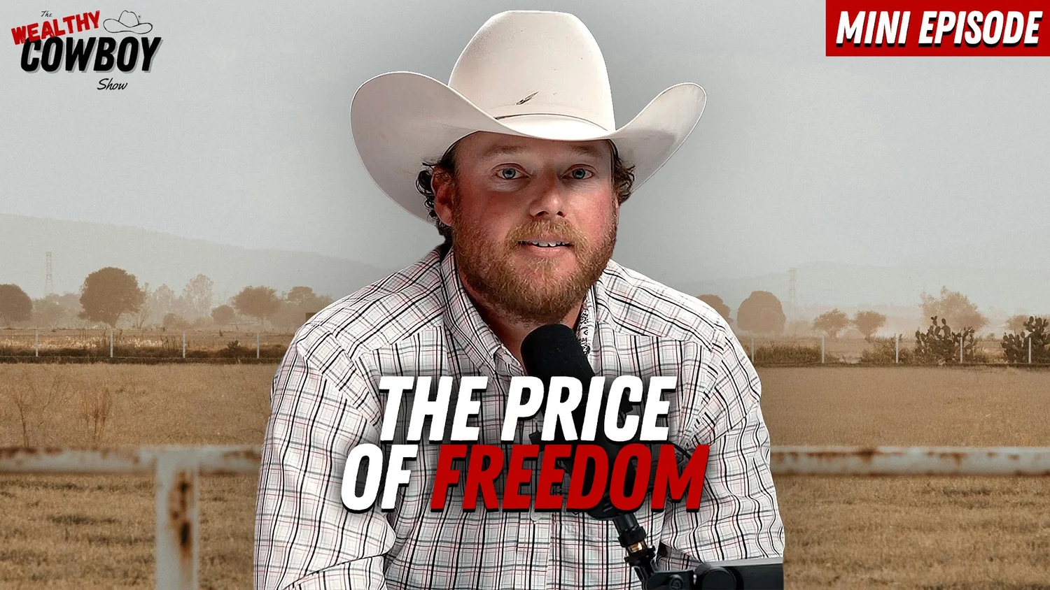 The Price of Freedom