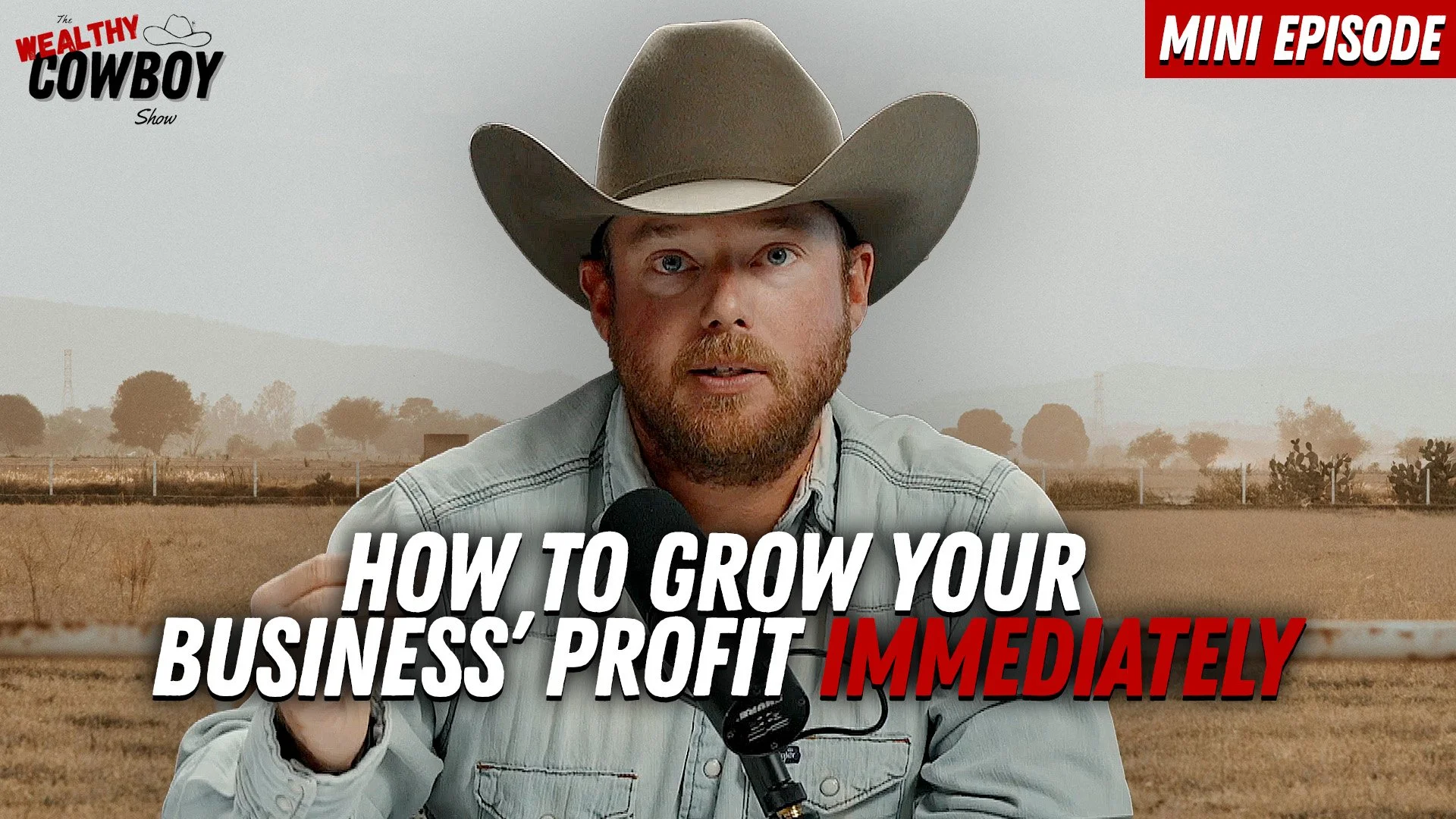 How to Grow Your Business’ Profit Immediately 