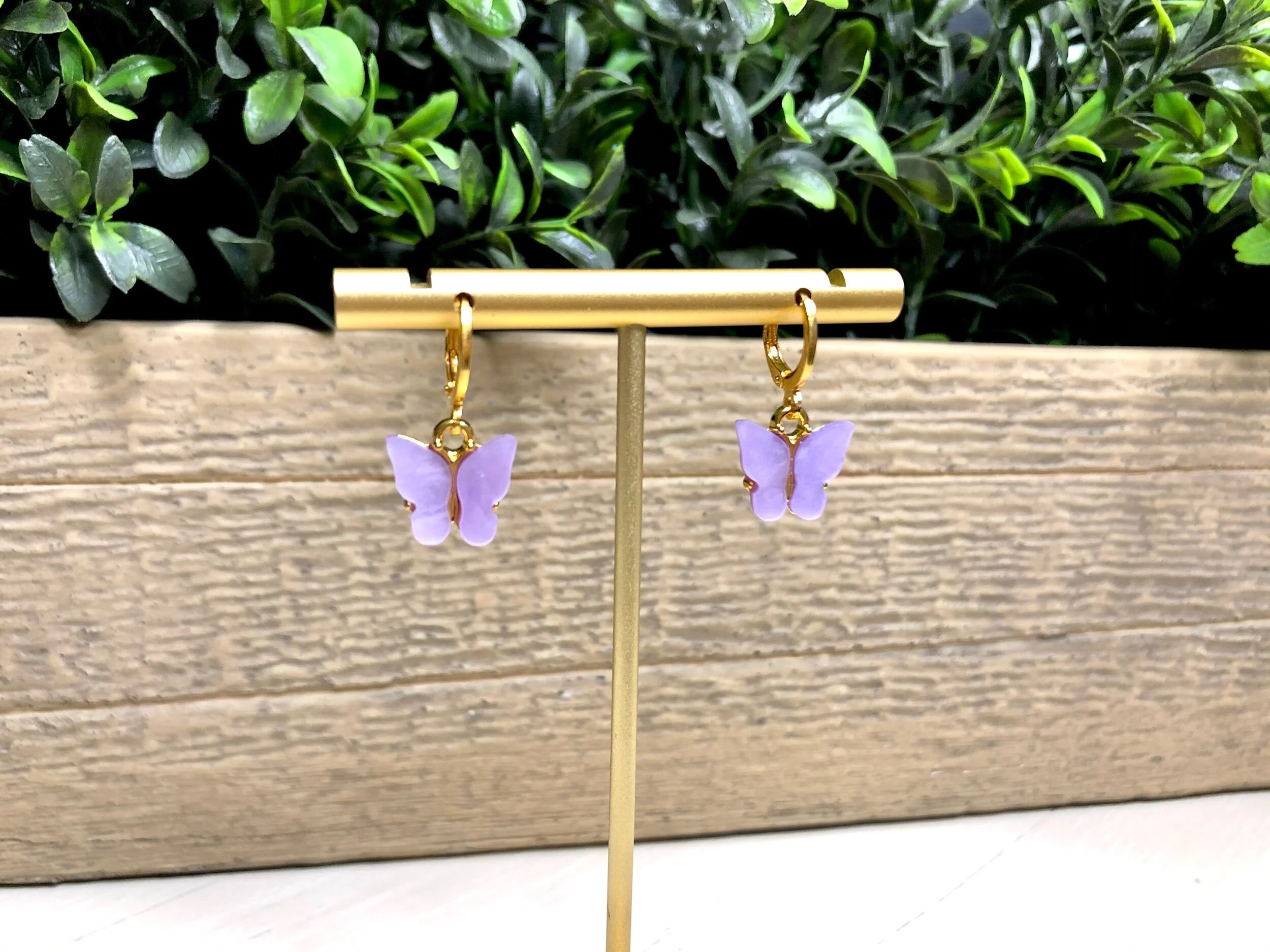 DB202FD5-C738-4ABC-8675-2C736FA35634