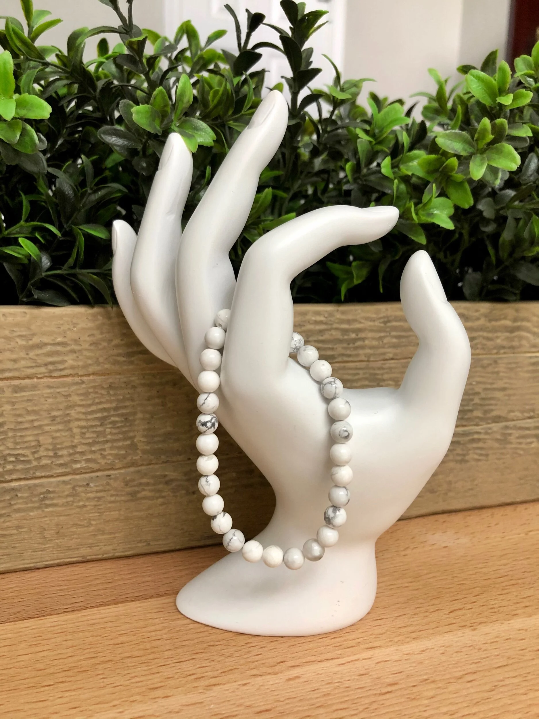 B11AEF66-E3CA-41B6-8028-E6DD237A96ED