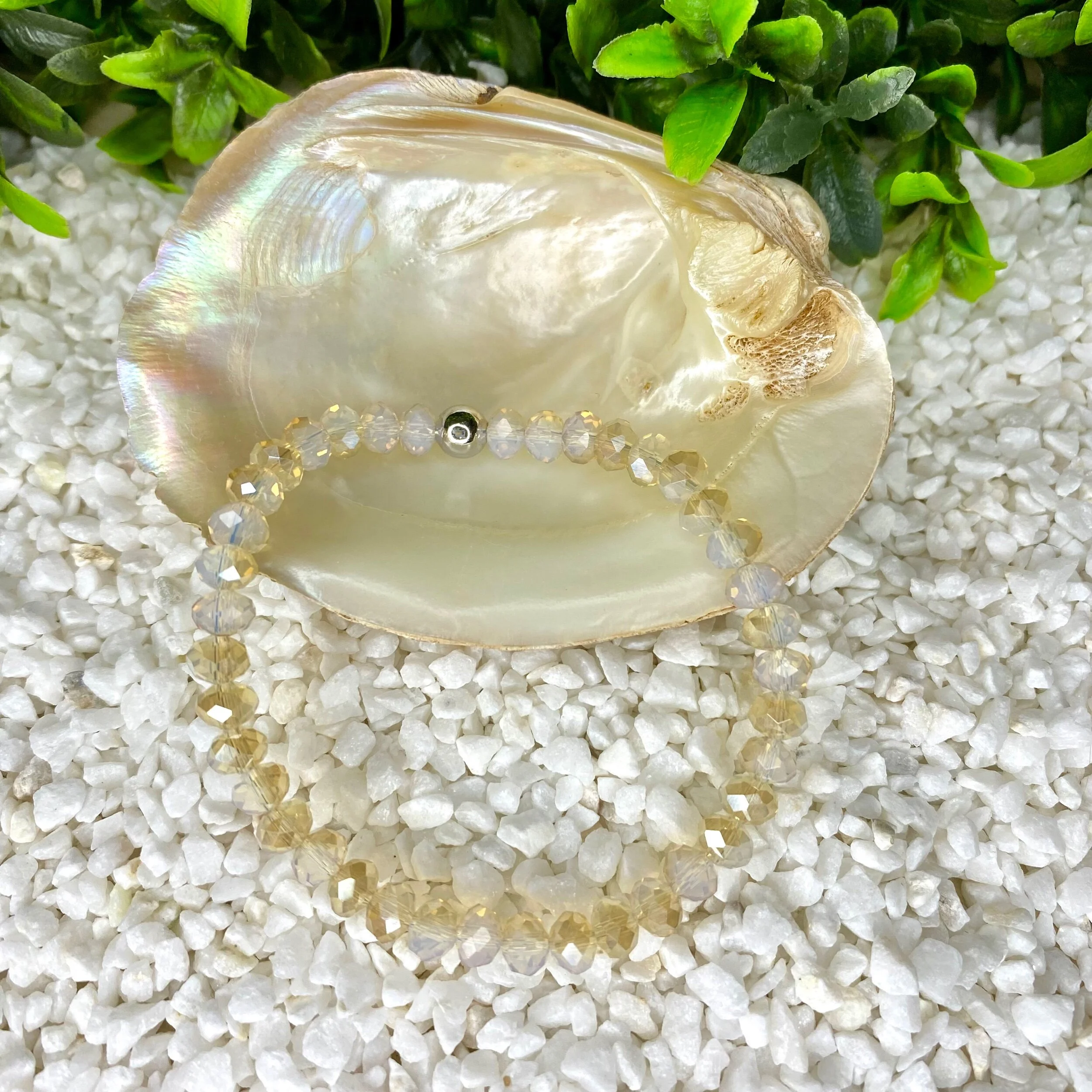 D925AD33-200D-4C4B-9D99-6C36C1A73D6C