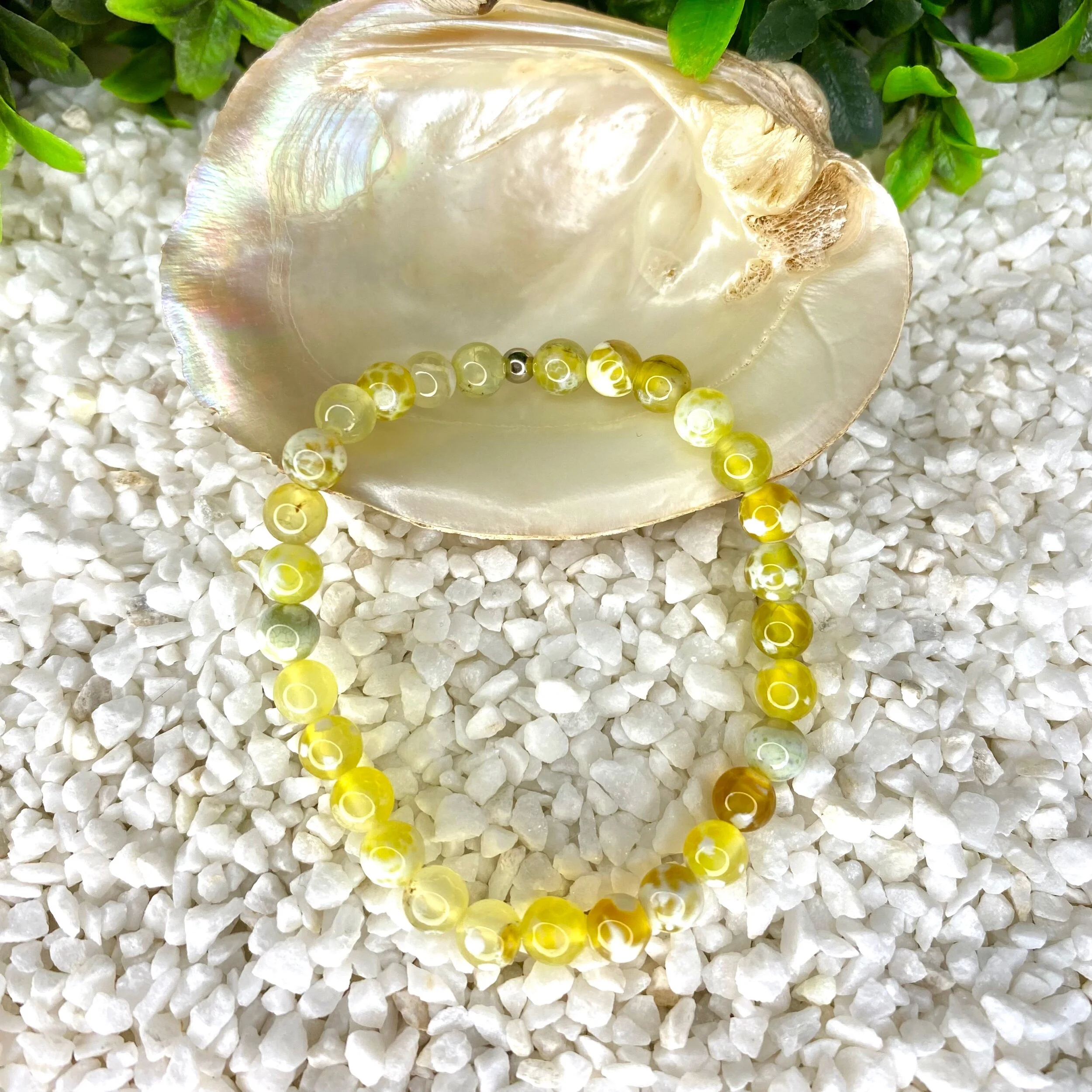 0EF6B08C-84A8-4BC0-9ED5-7F0509858E76