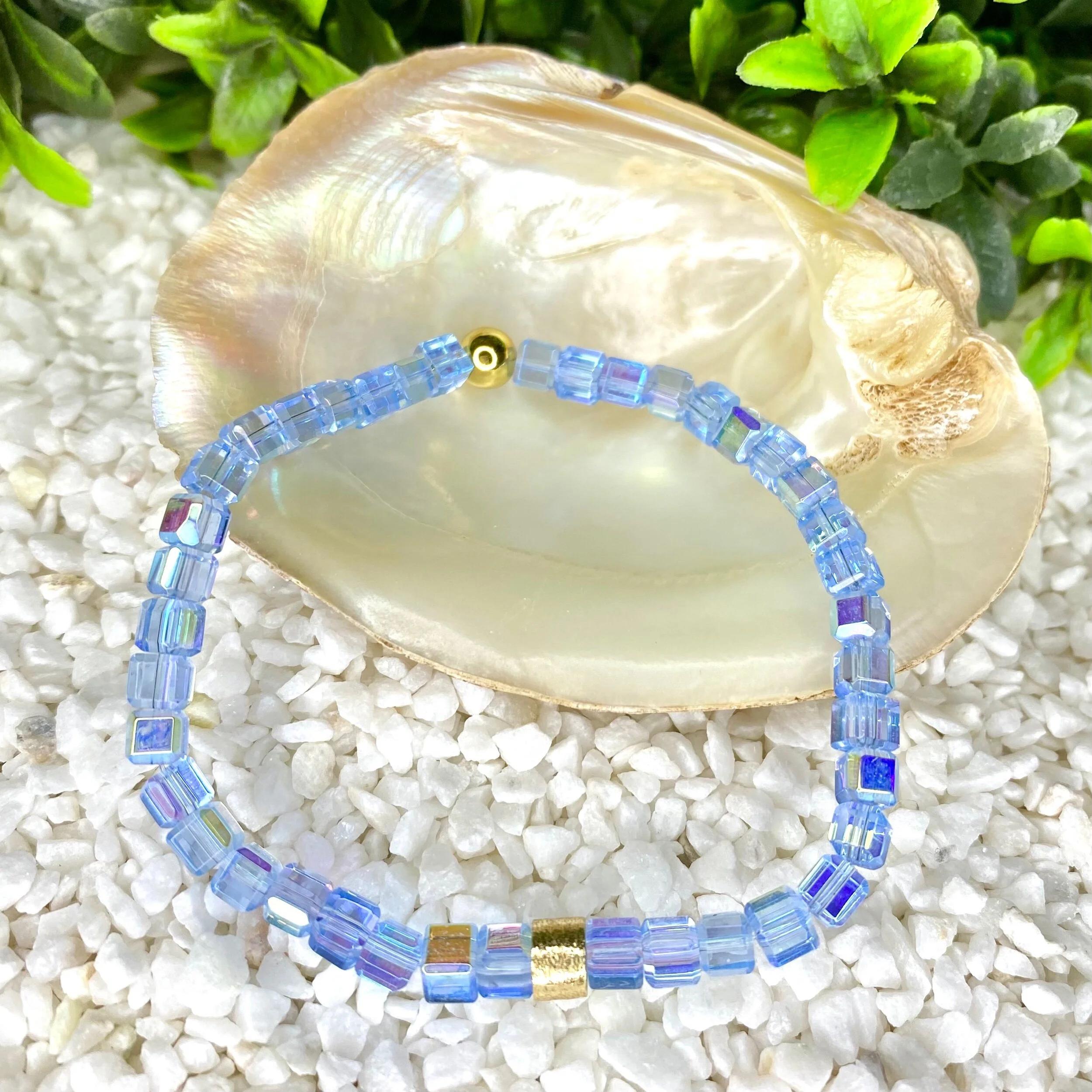 55A1293F-4519-4314-B0FA-D1C8F4C81479