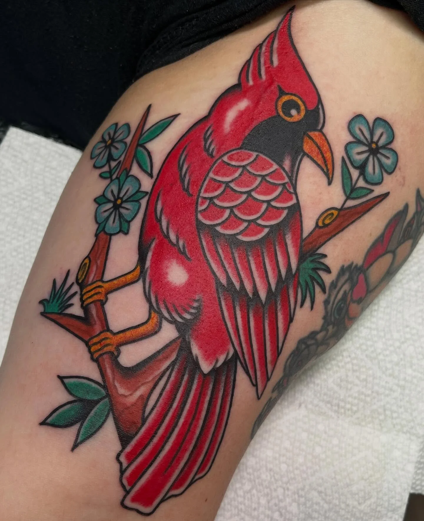 Always love doing cute birbs thank you @___haileyy for letting me do this one for you