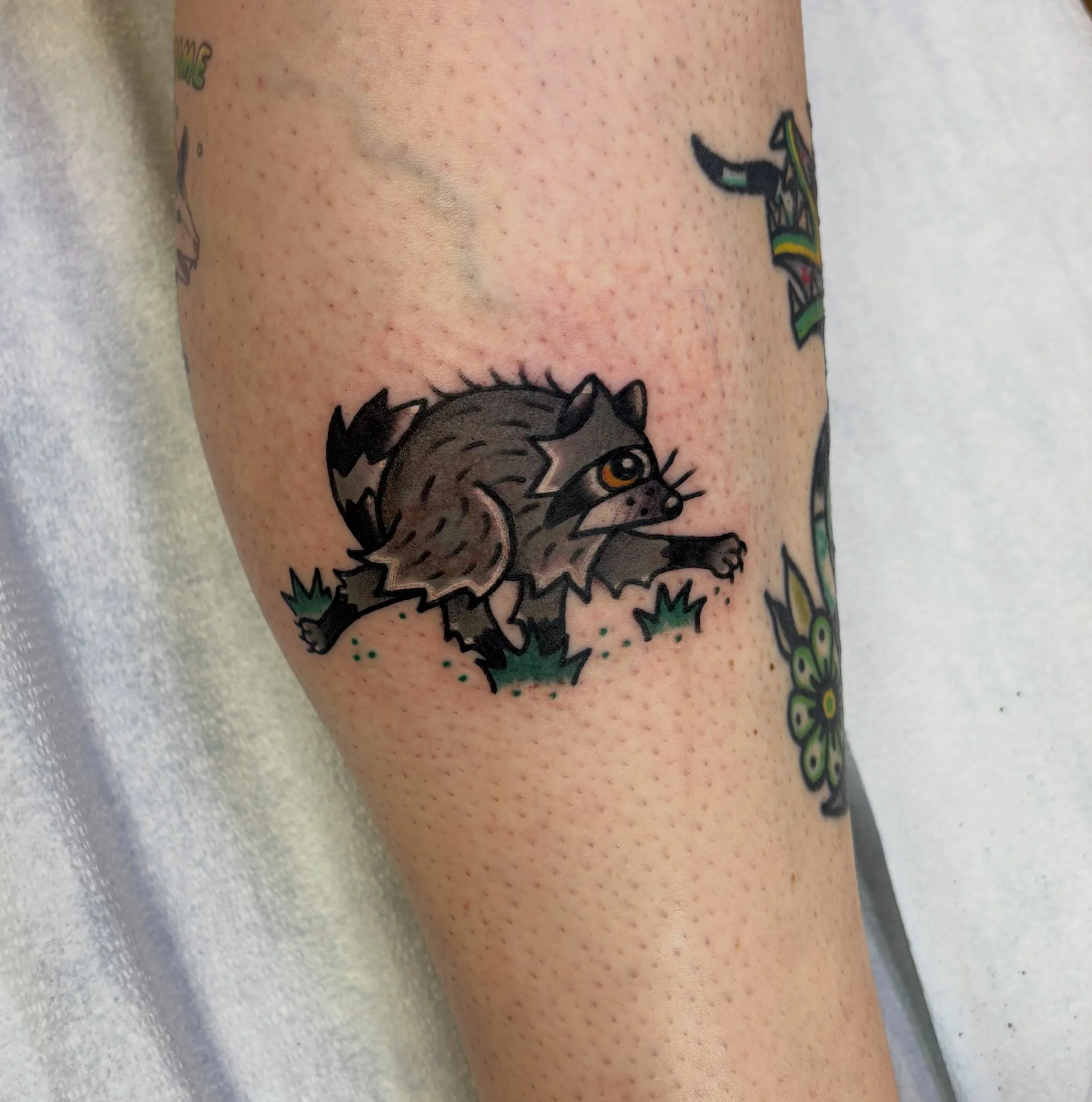 Long live Jimothy🦝 And a healed Cynthia 
&bull;

&bull;

&bull;

&bull;

&bull;

&bull;

&bull;

&bull;

&bull;

#jimothy #racoon #cynthia #healedtattoo #baltimore