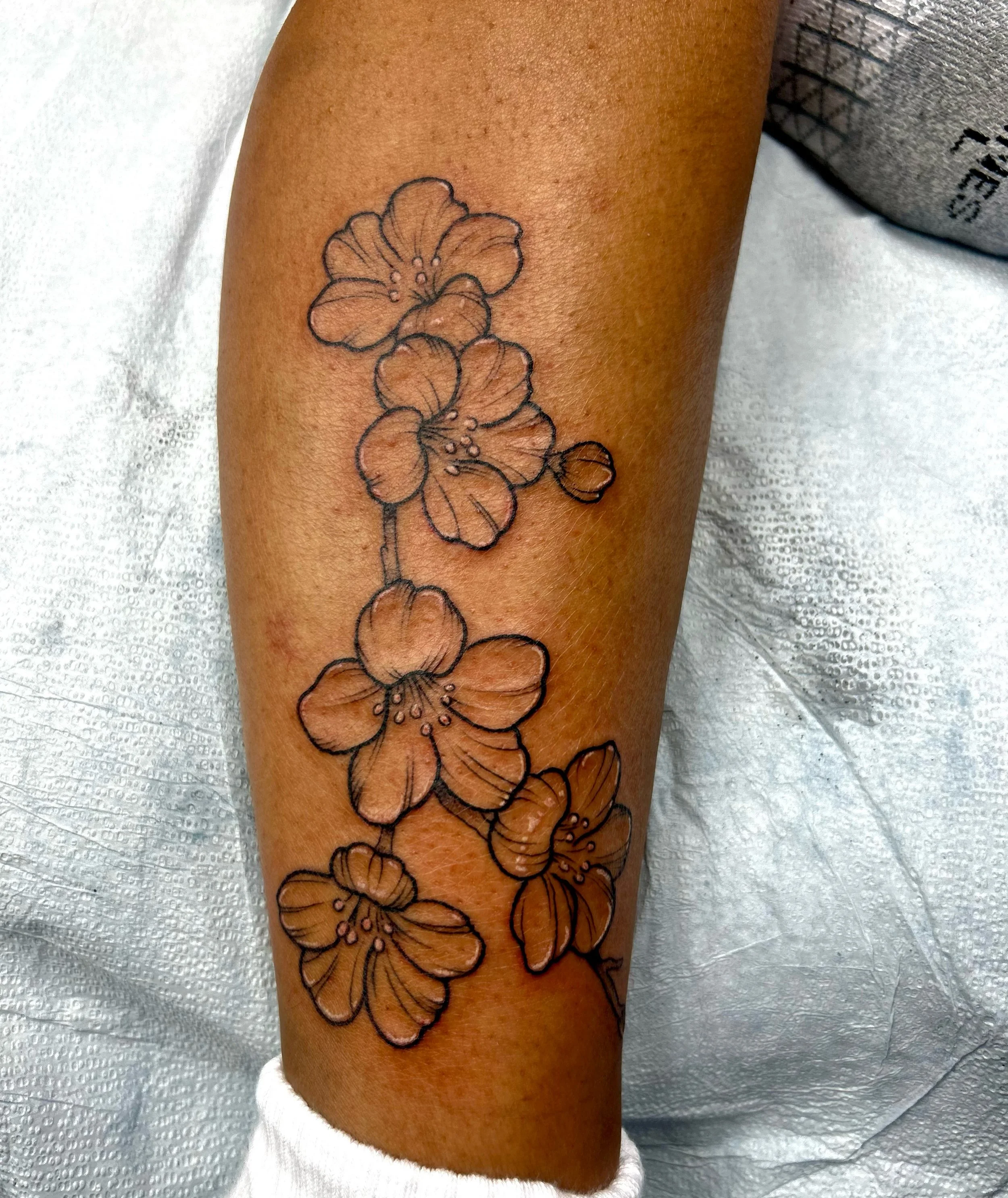 She was traveling but wanted a little piece of Maryland so we did some cherry blossoms that she can add to and color in later 🙏
.
#bmore #bmoreart #marylandtattoos #marylandtattooartist #maryland