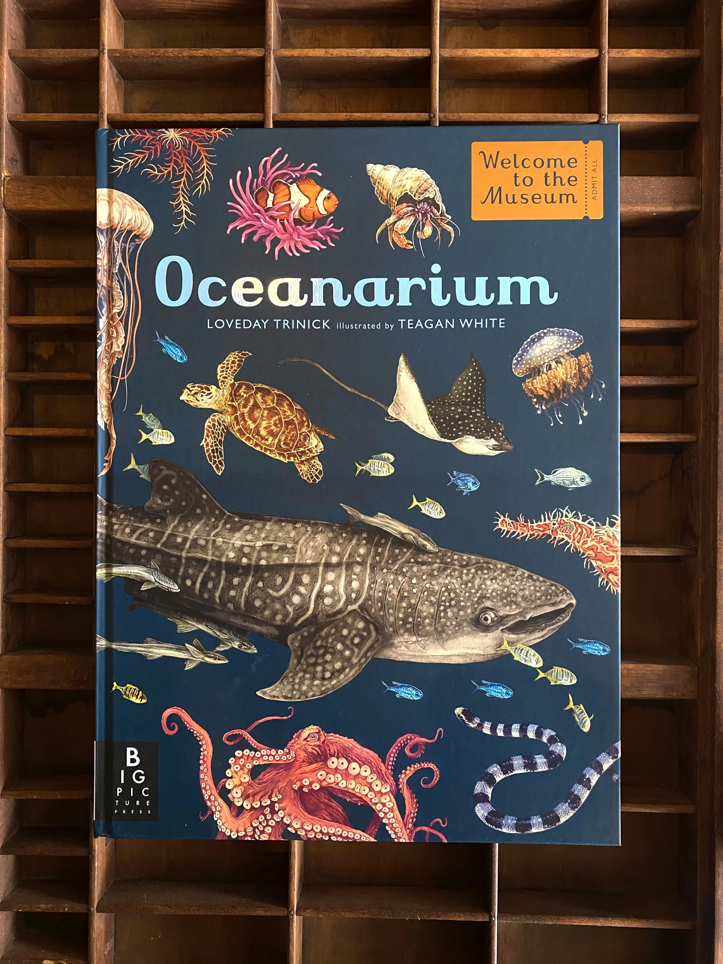 OCEANARIUM