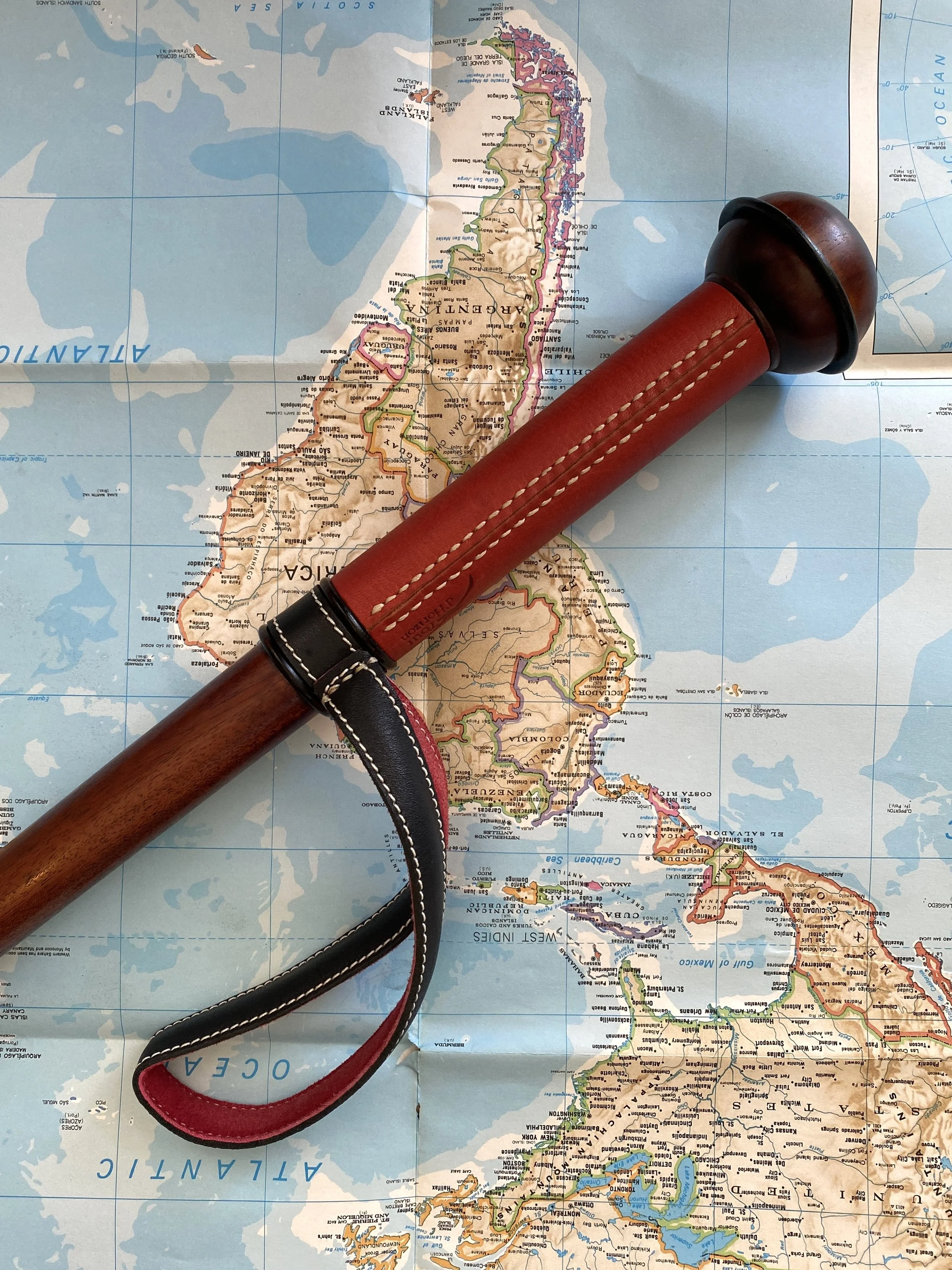 COMPASS CANE