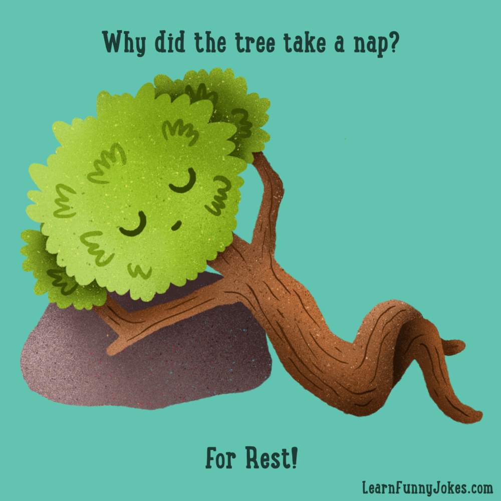 Why did tree a nap? For Rest! Funny Jokes