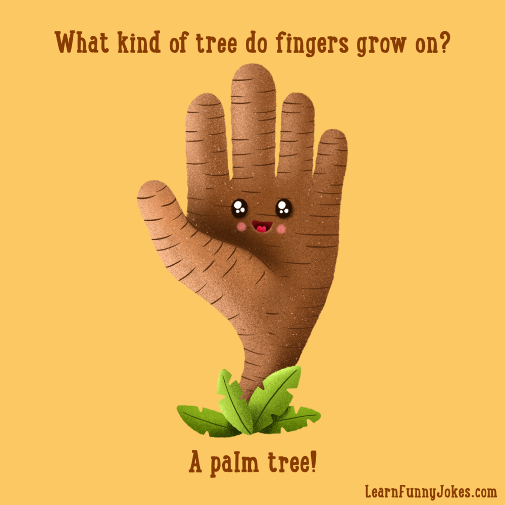 What kind tree do fingers grow on? A palm tree! Learn Funny Jokes