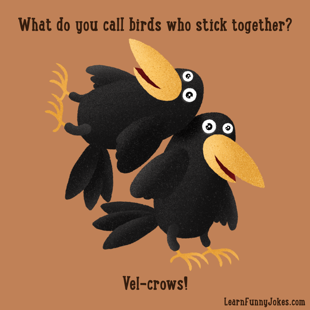 Birds Stick Together