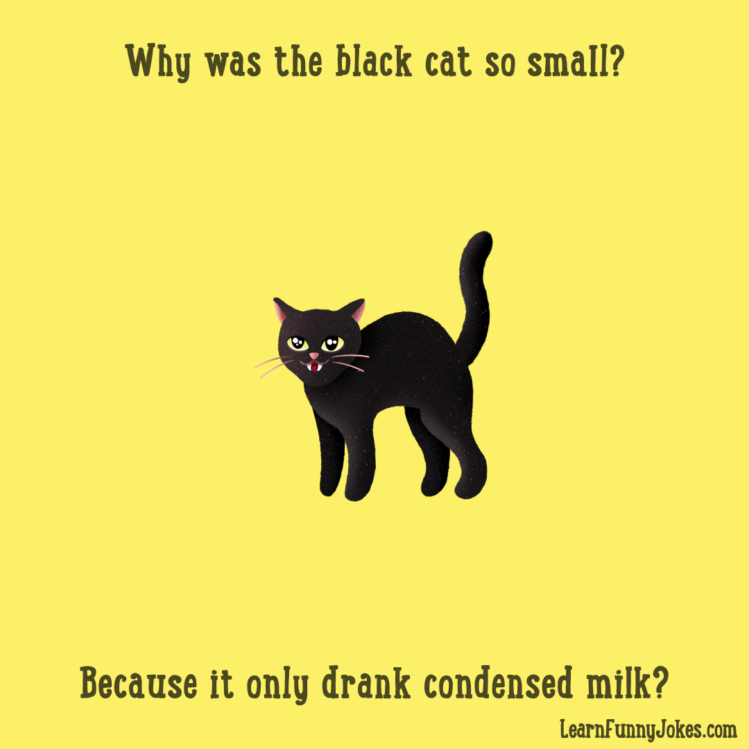 Why was the black cat so small? Because it only drank condensed milk?  Halloween animal jokes. — Learn Funny Jokes