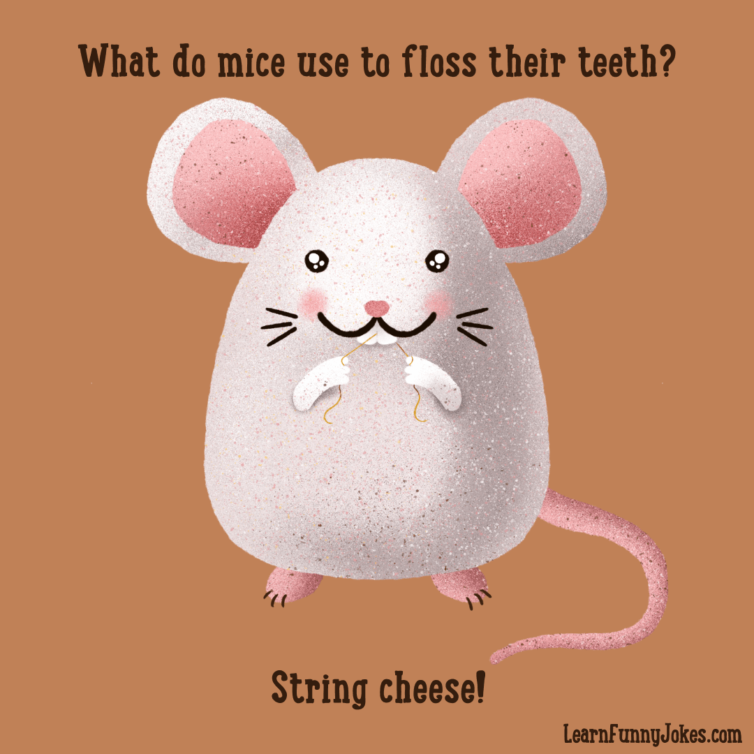 What do mice use to floss their teeth? String cheese! Animal dad jokes to  tell your kids. — Learn Funny Jokes