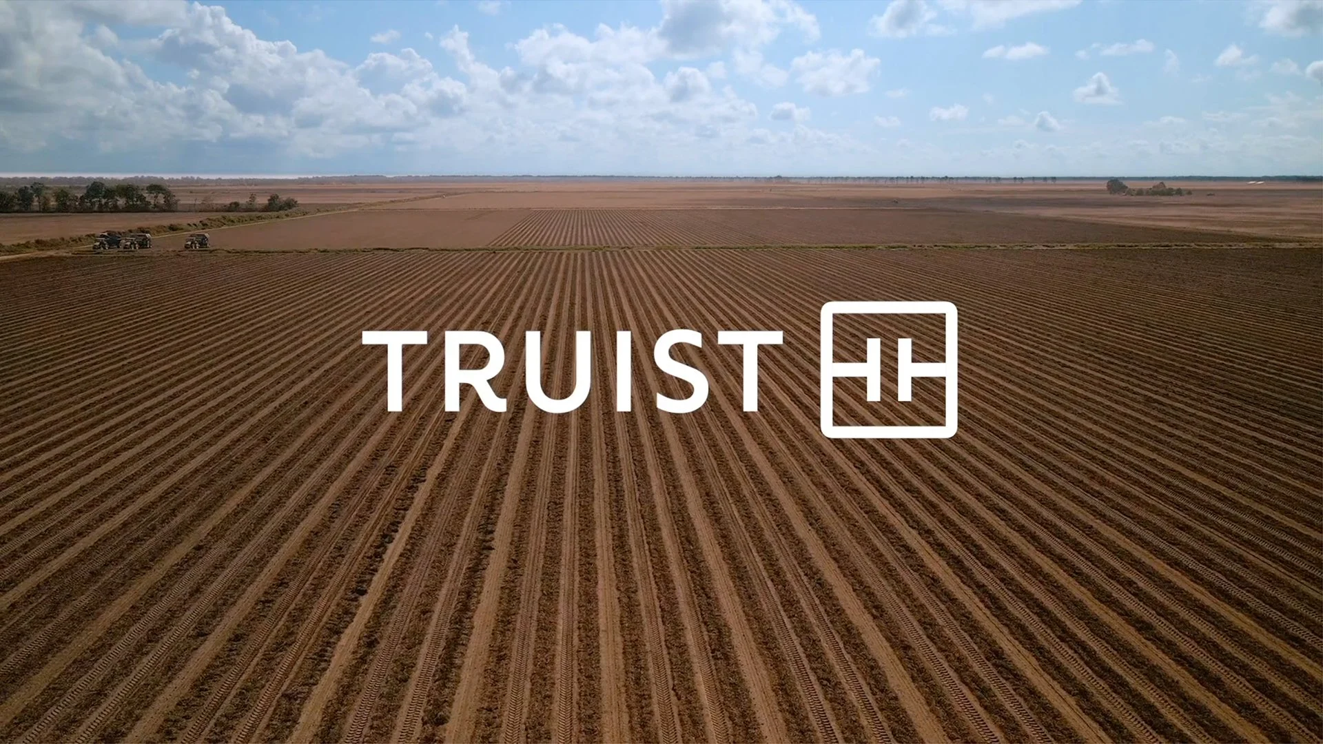 Delta Peanut for Truist