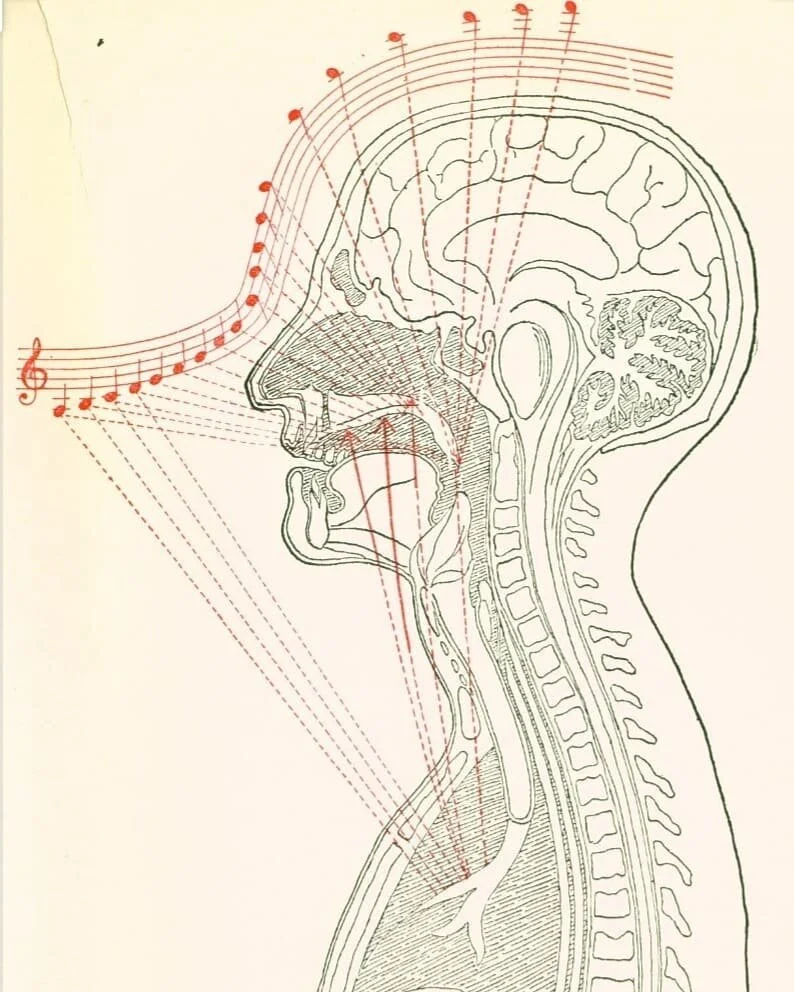 Who loves an air chart?
▪
&quot;Air direction&quot;, &quot;Air routes&quot; or whatever you like to call them... I think this is a wonderful tool for singers struggling with registration. This has proven to be helpful for my sopranos exploring head v