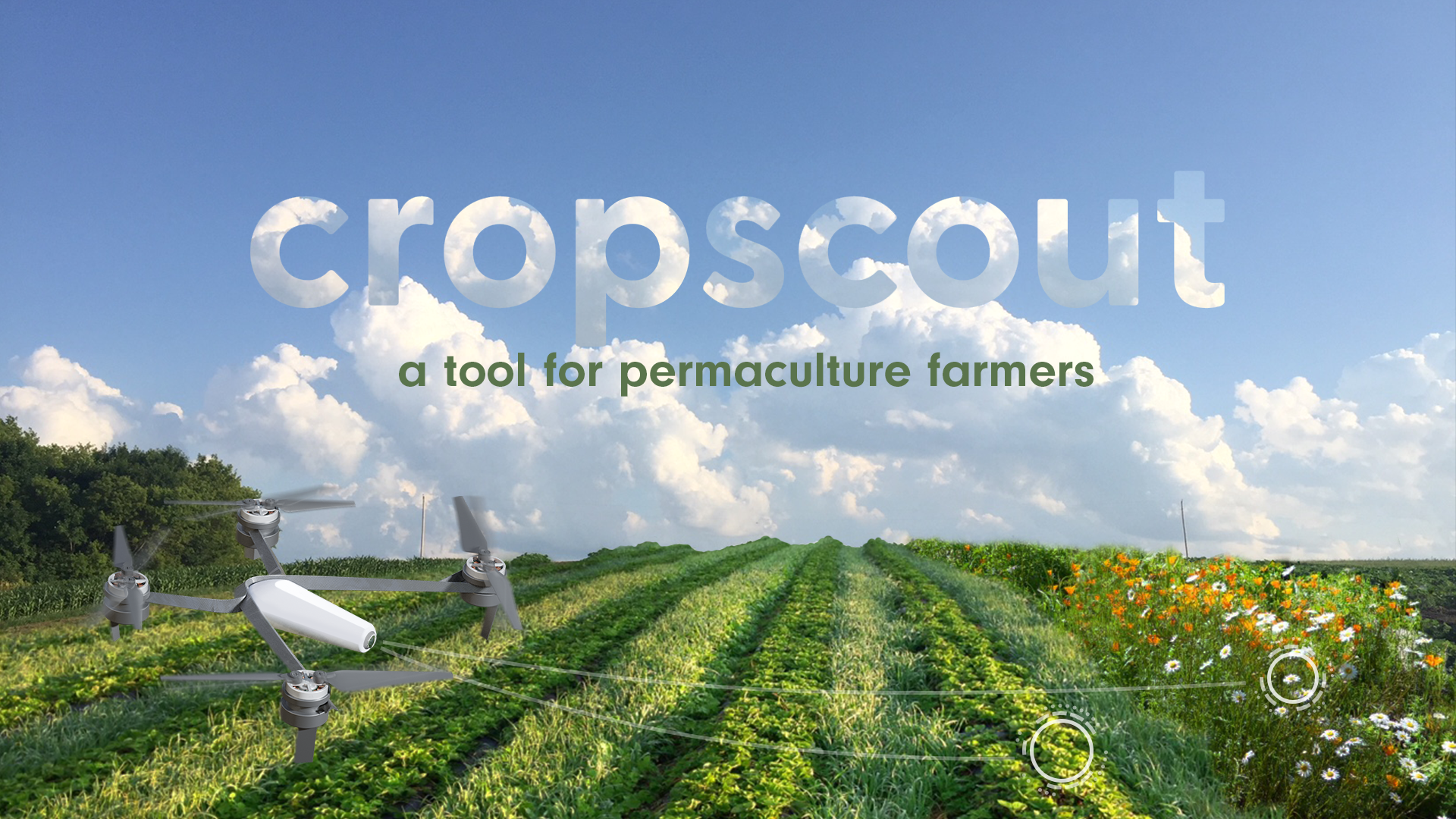 Title Card Composite_5.png