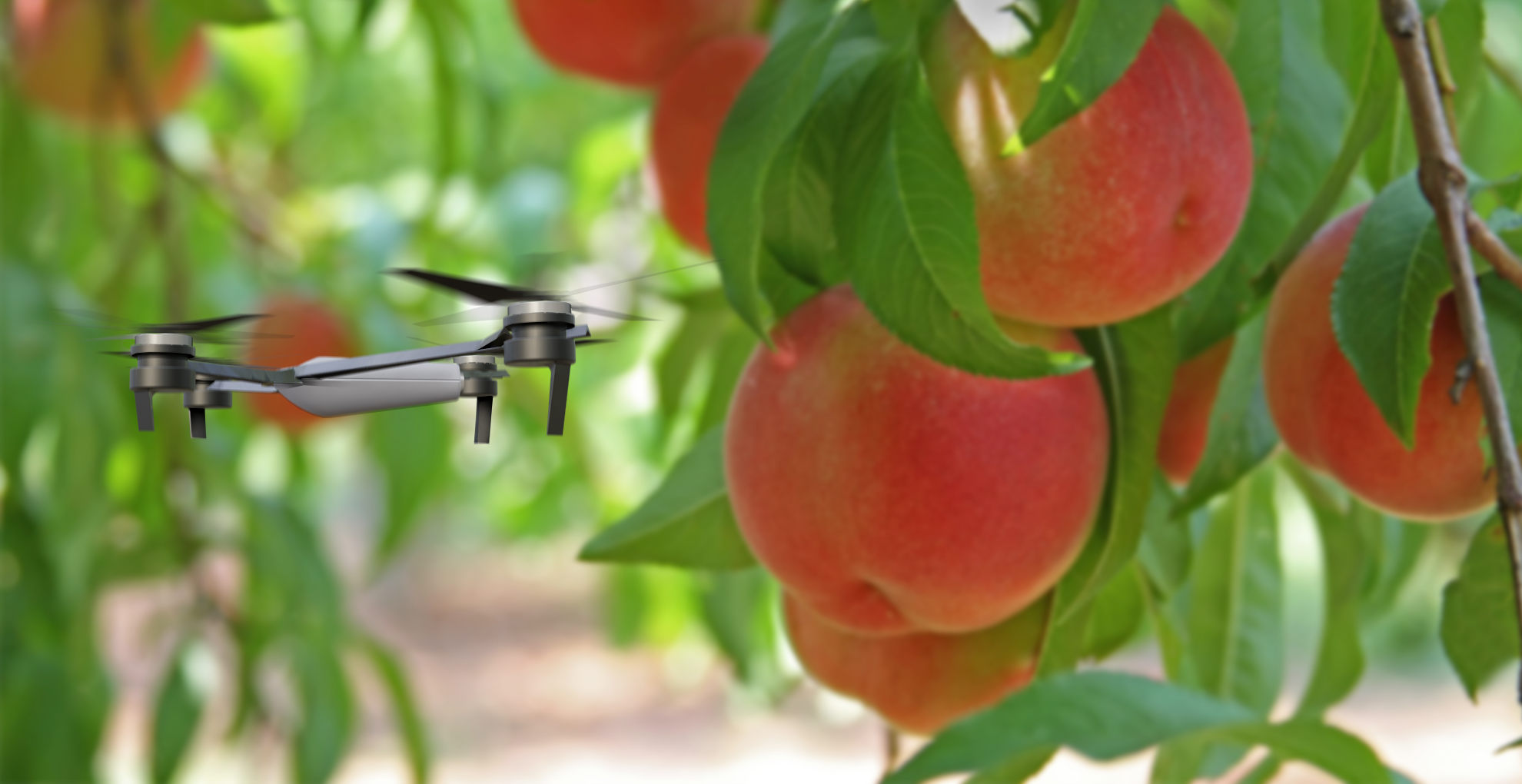 Peach_Motion Blur3.png