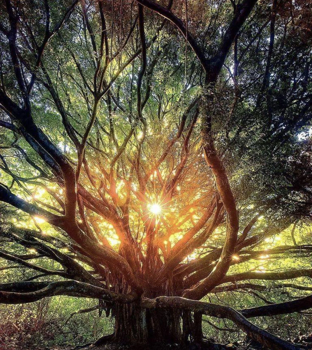 Earth and Either Healing Session at Kindred Healing Space