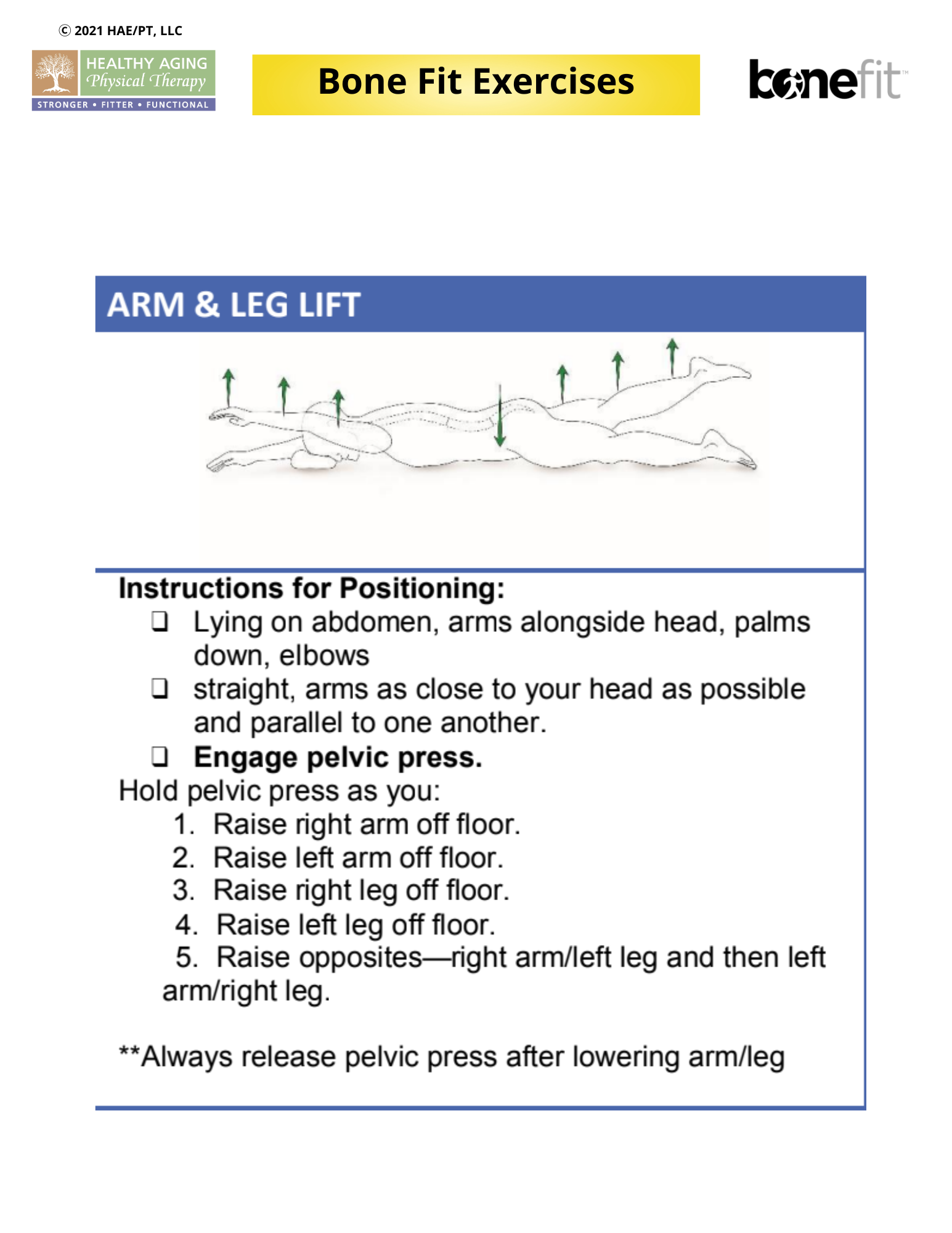 Diagram illustrating the Arm & Leg Lift exercise, with a drawn figure lying face down. Instructions include lying on the abdomen with arms parallel, engaging the pelvic press, and sequentially raising arms and legs. Emphasizes alternating arm and leg