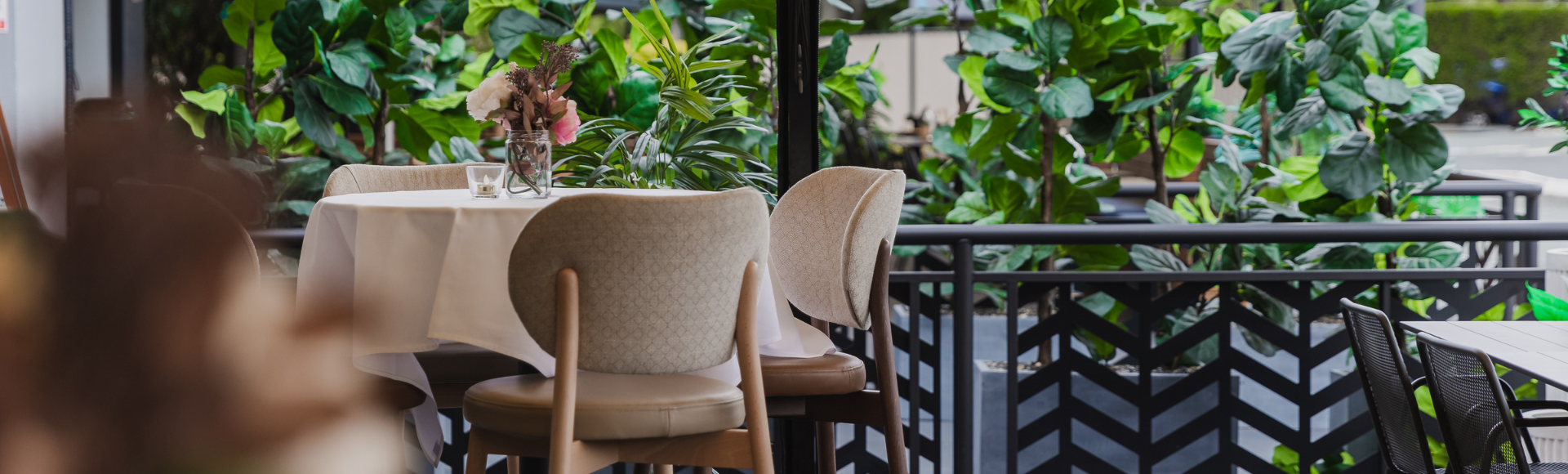 Belmont Functions (1).png