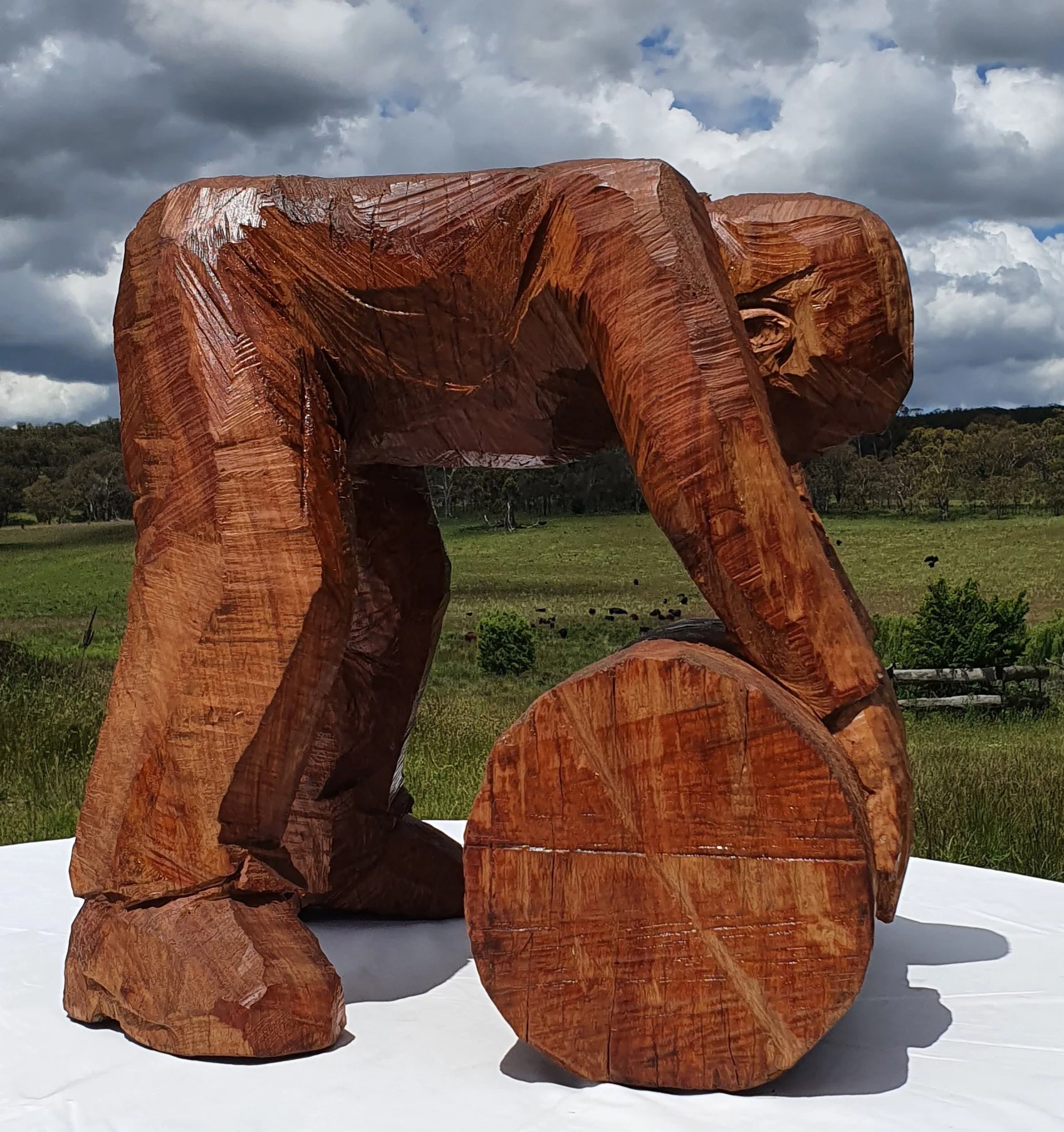 2021 Log Roller  50x52x53cm