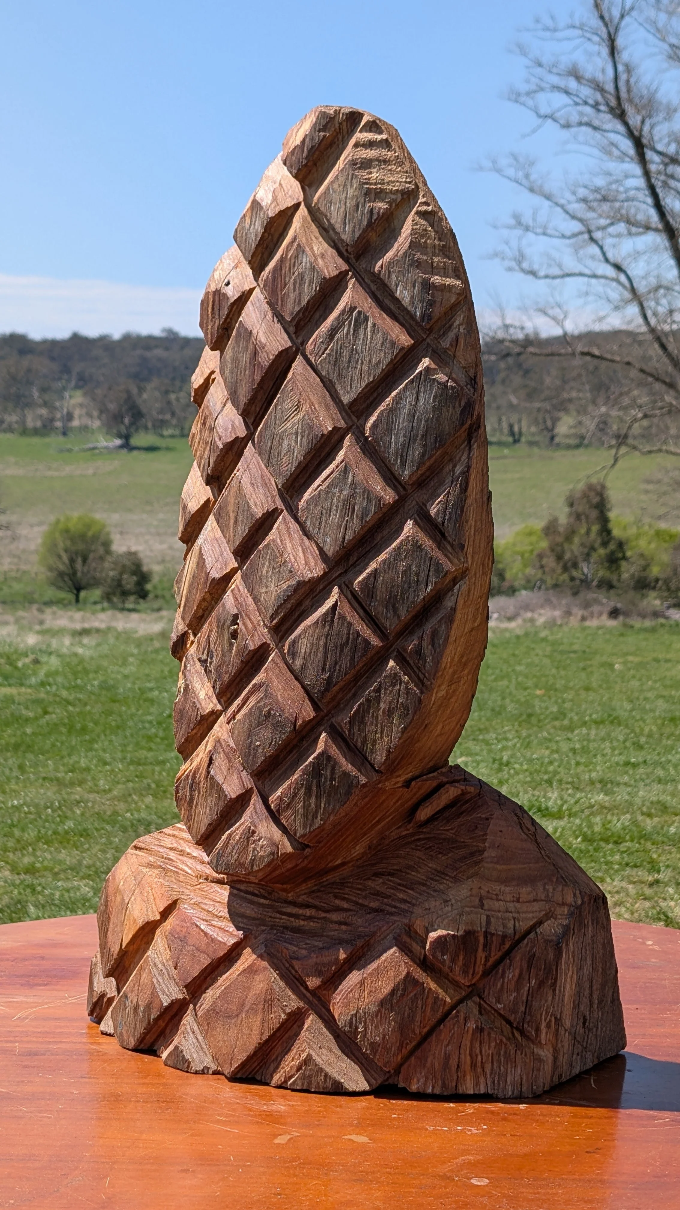 2025 Self Portrait III-74x41x21cm -Stringybark