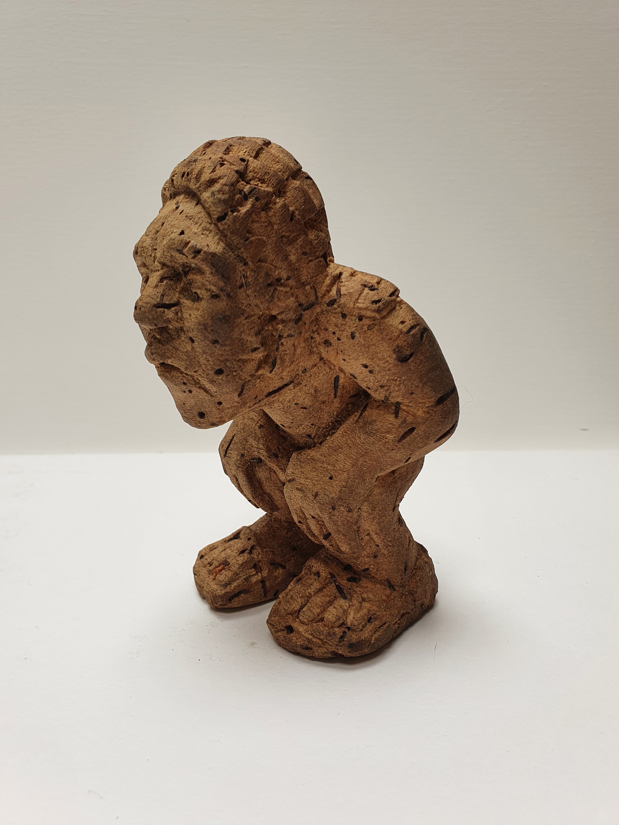 2021 Hairy Man (Kutjia)  16x10x10cm
Bat Winged Bean Tree NFS