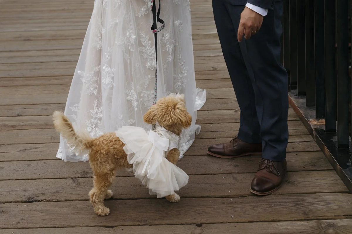 mainspace-canmore-wedding-34.jpg