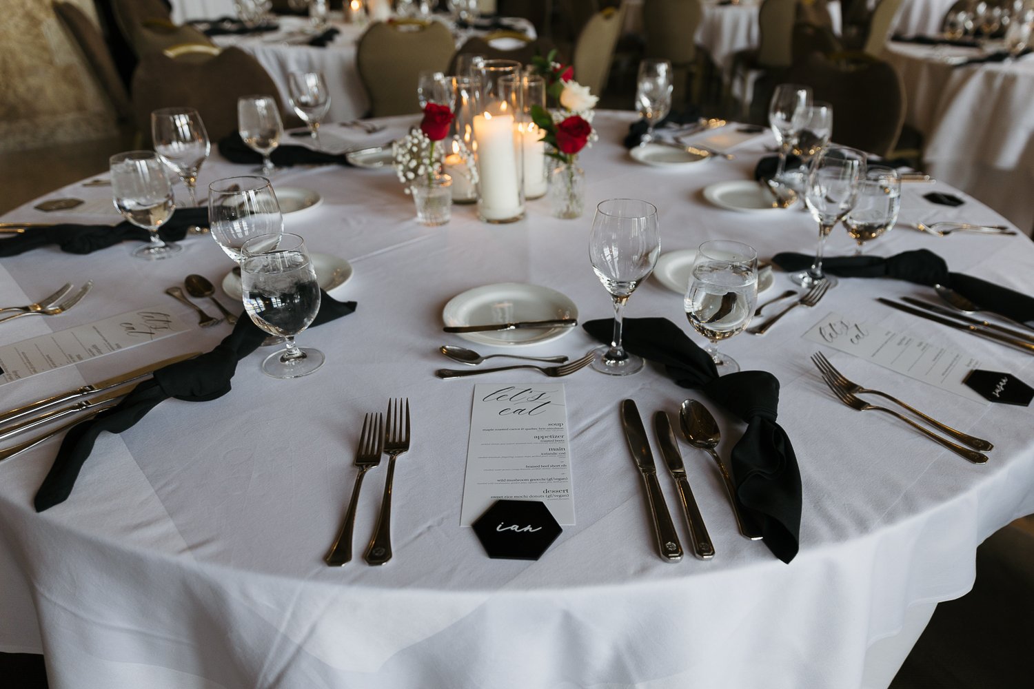 mt-stephen-hall-wedding-reception-14.jpg