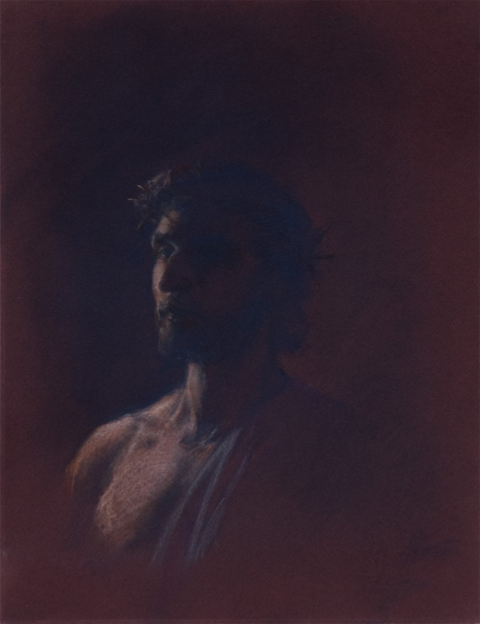 Crown of Thorns, 9"x12", Pastel