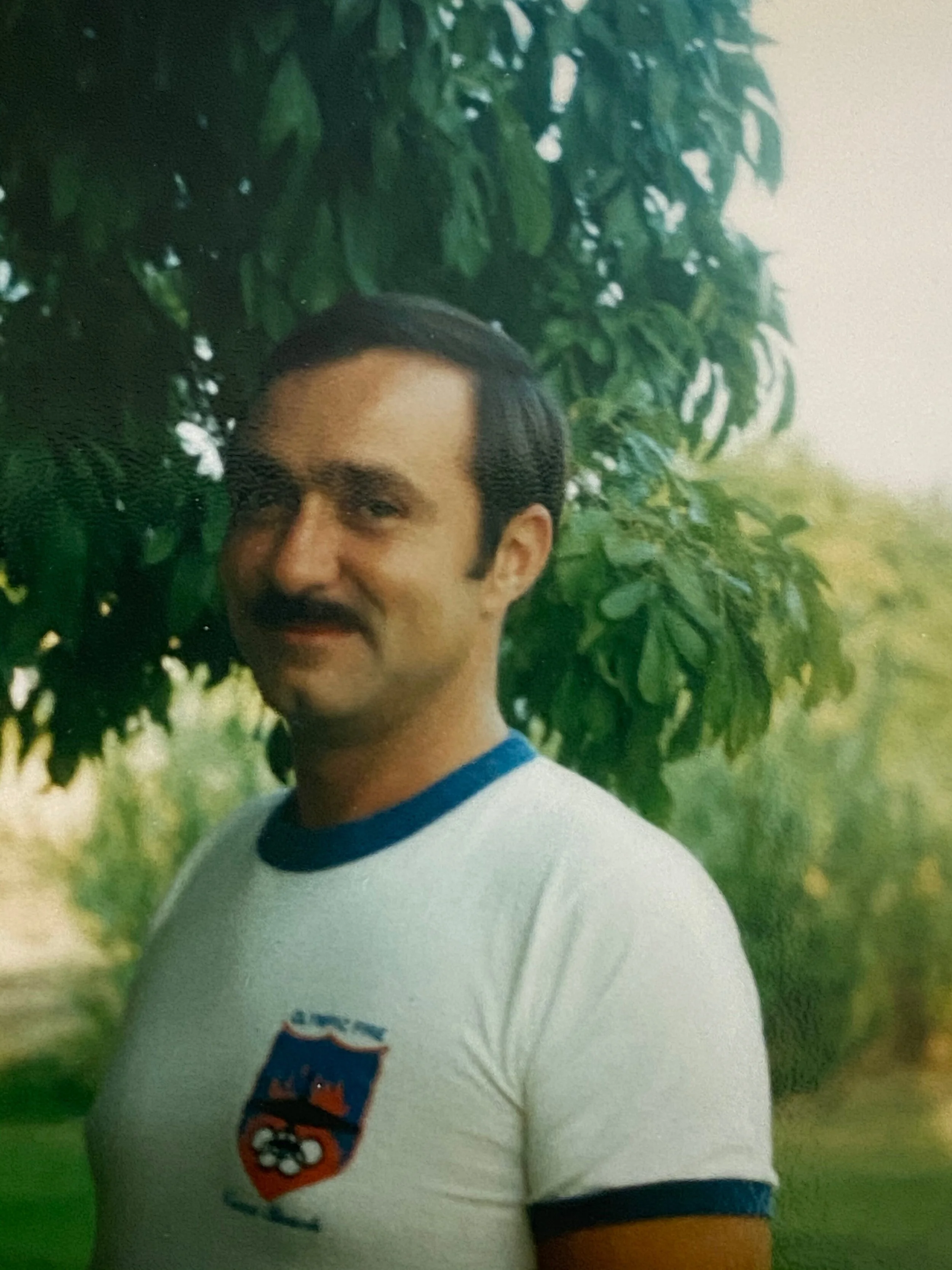 Into the Arctic Circle