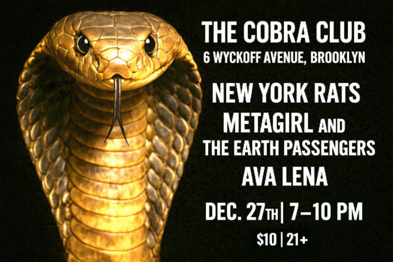 12.27.25_NYRats.png