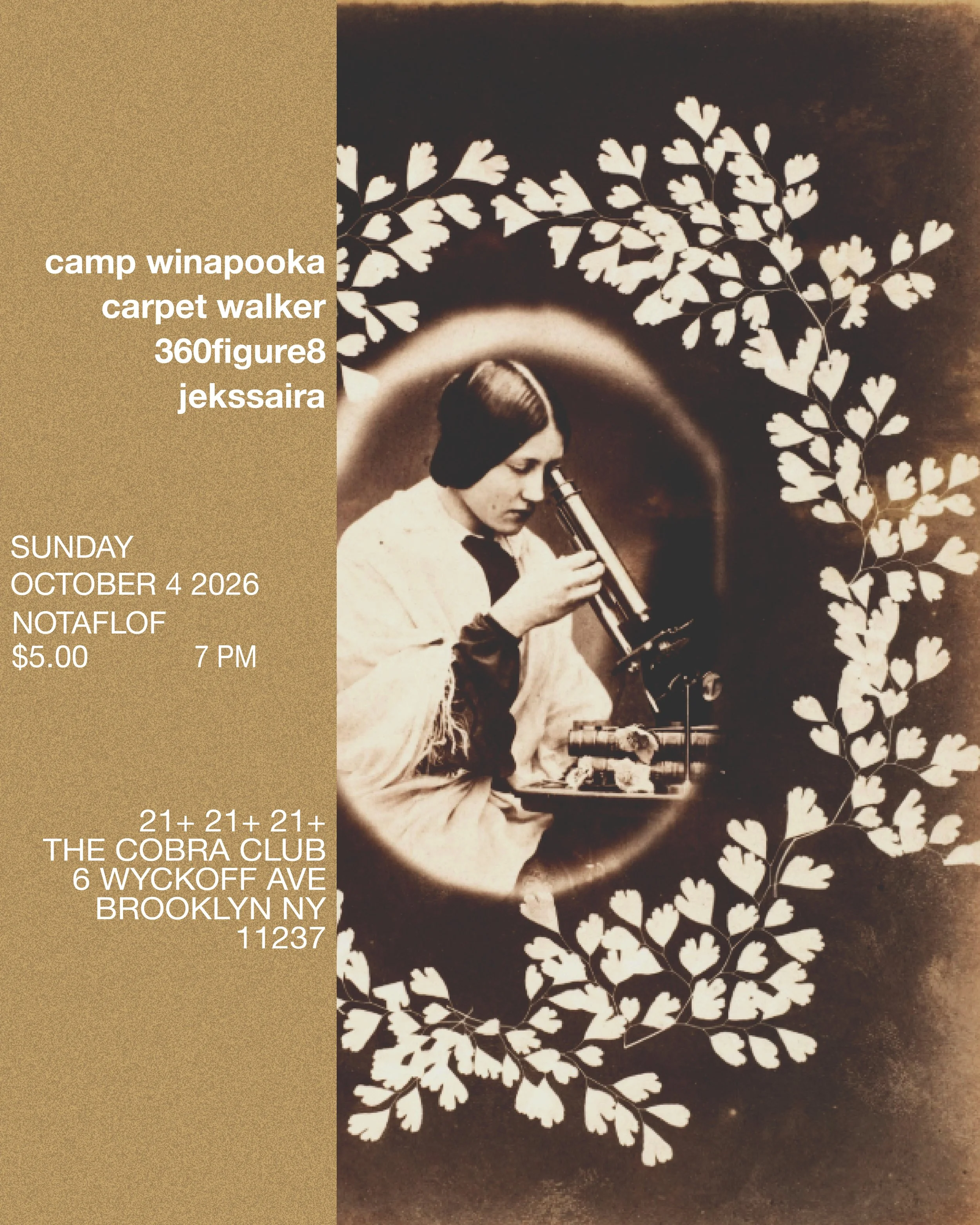 10.4.26_CarpetWalker.jpeg