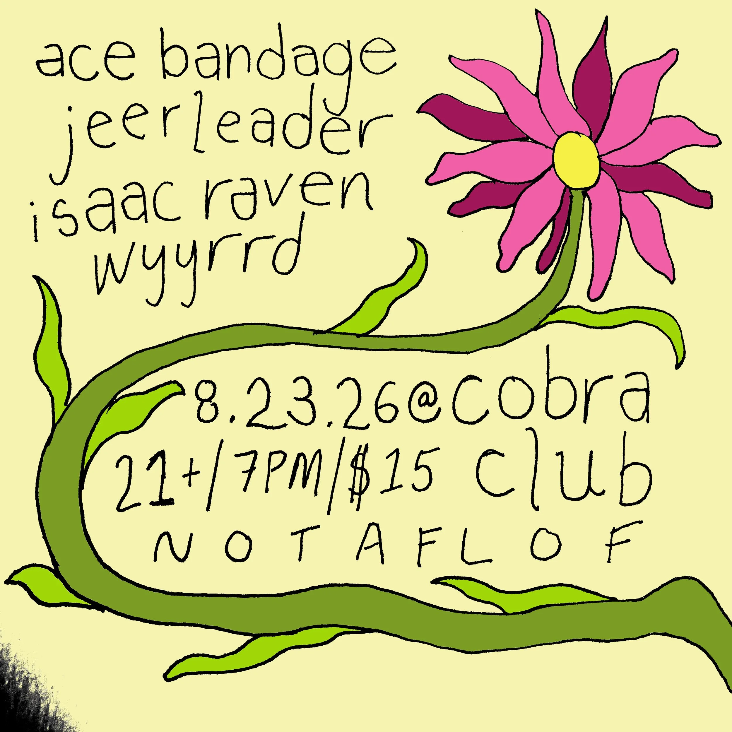 8.23.26_RavenAceBandage.jpeg