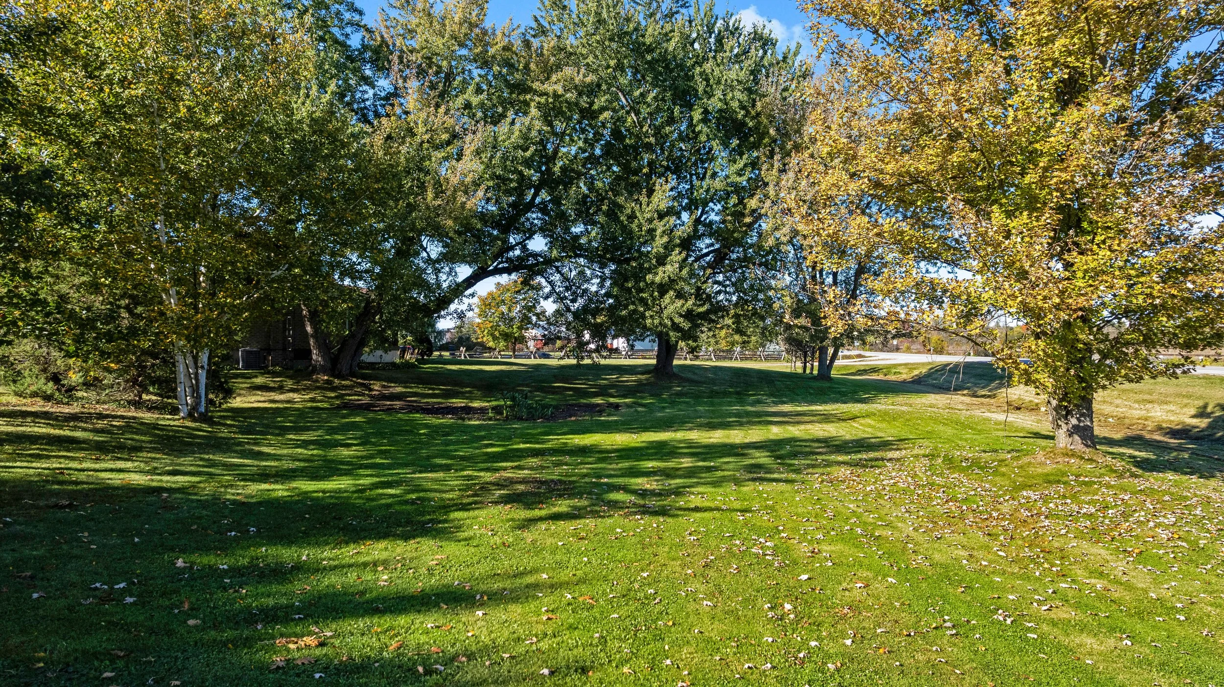 DJI_0091.JPG