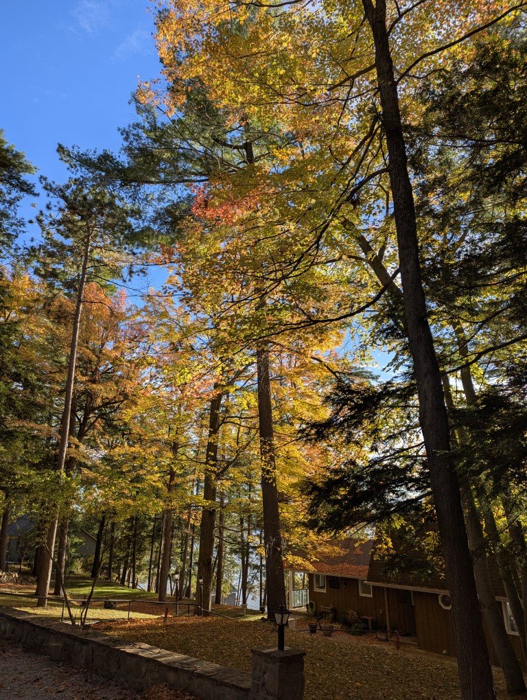 Driveway towards the House 2 (Custom).jpg