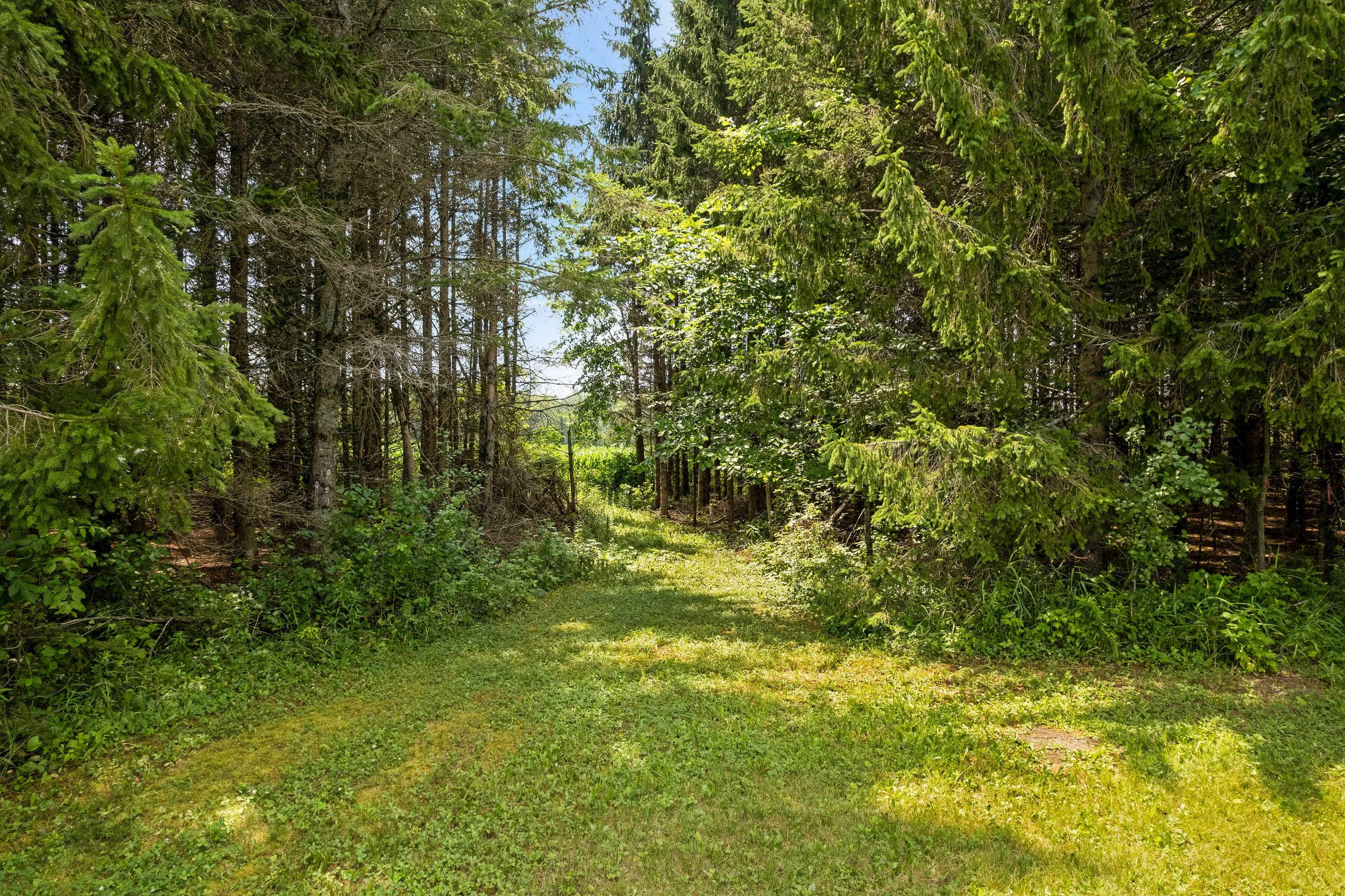 DJI_0120.JPG