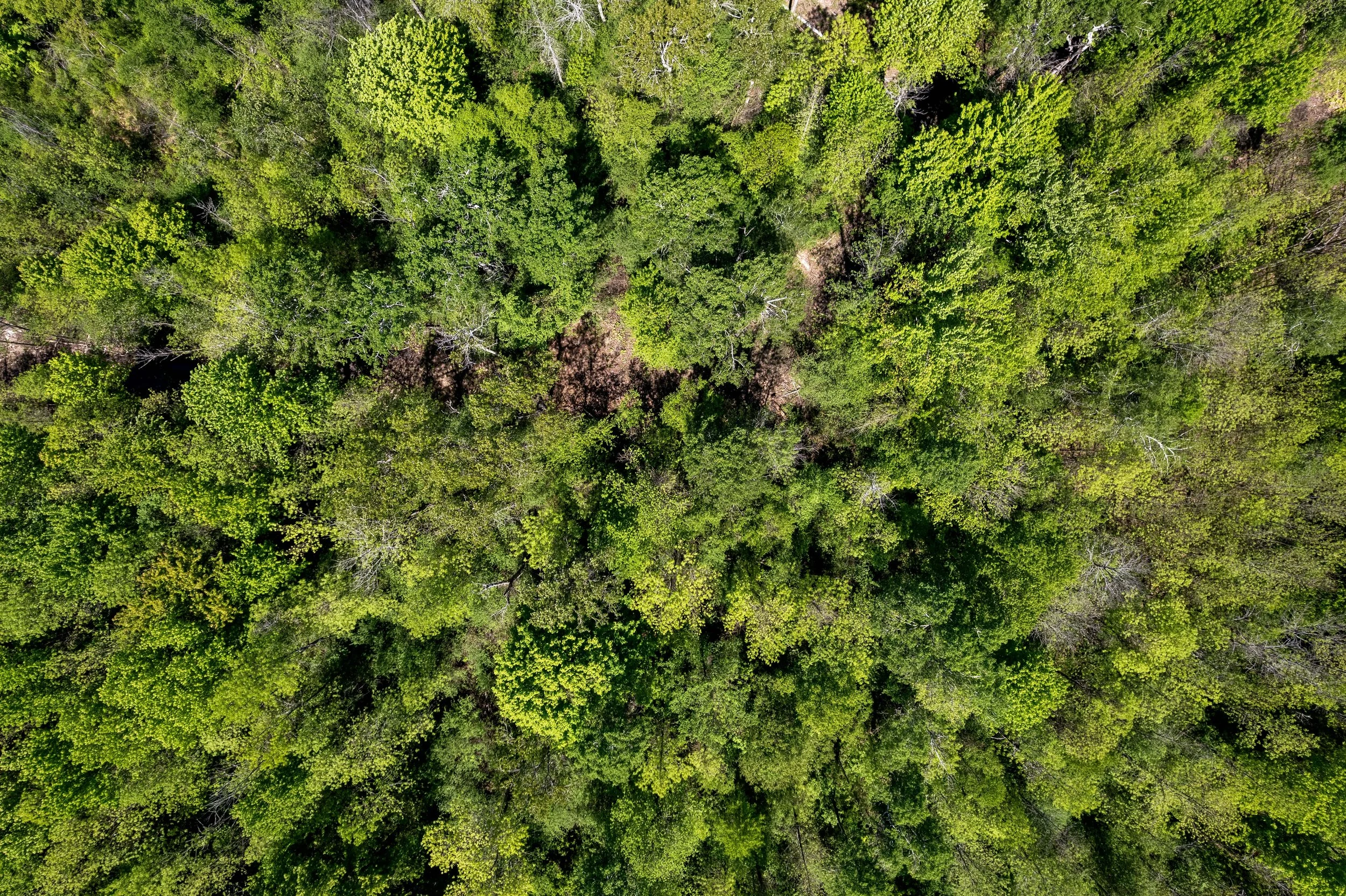 DJI_0317.JPG
