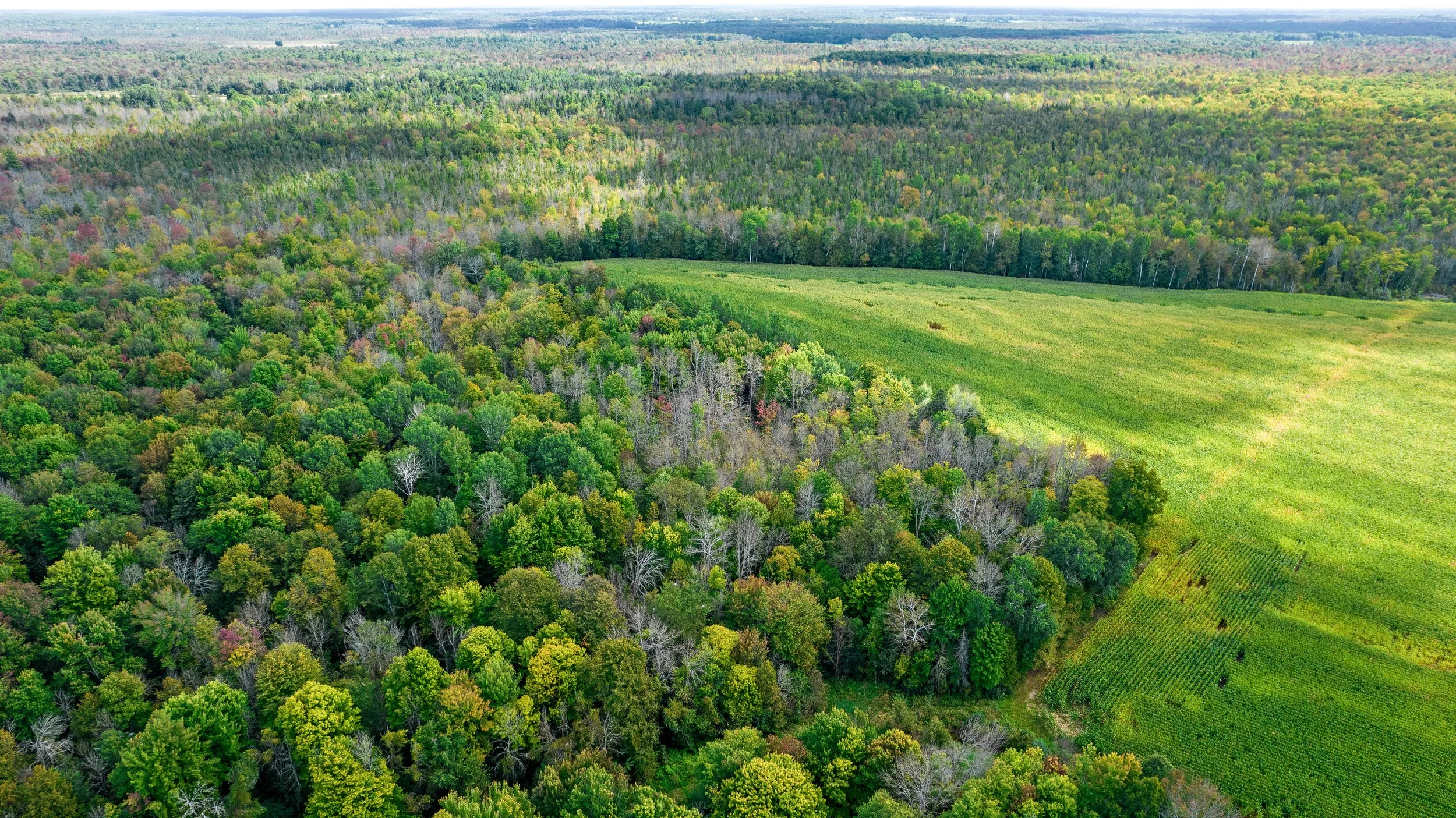 DJI_0040.JPG
