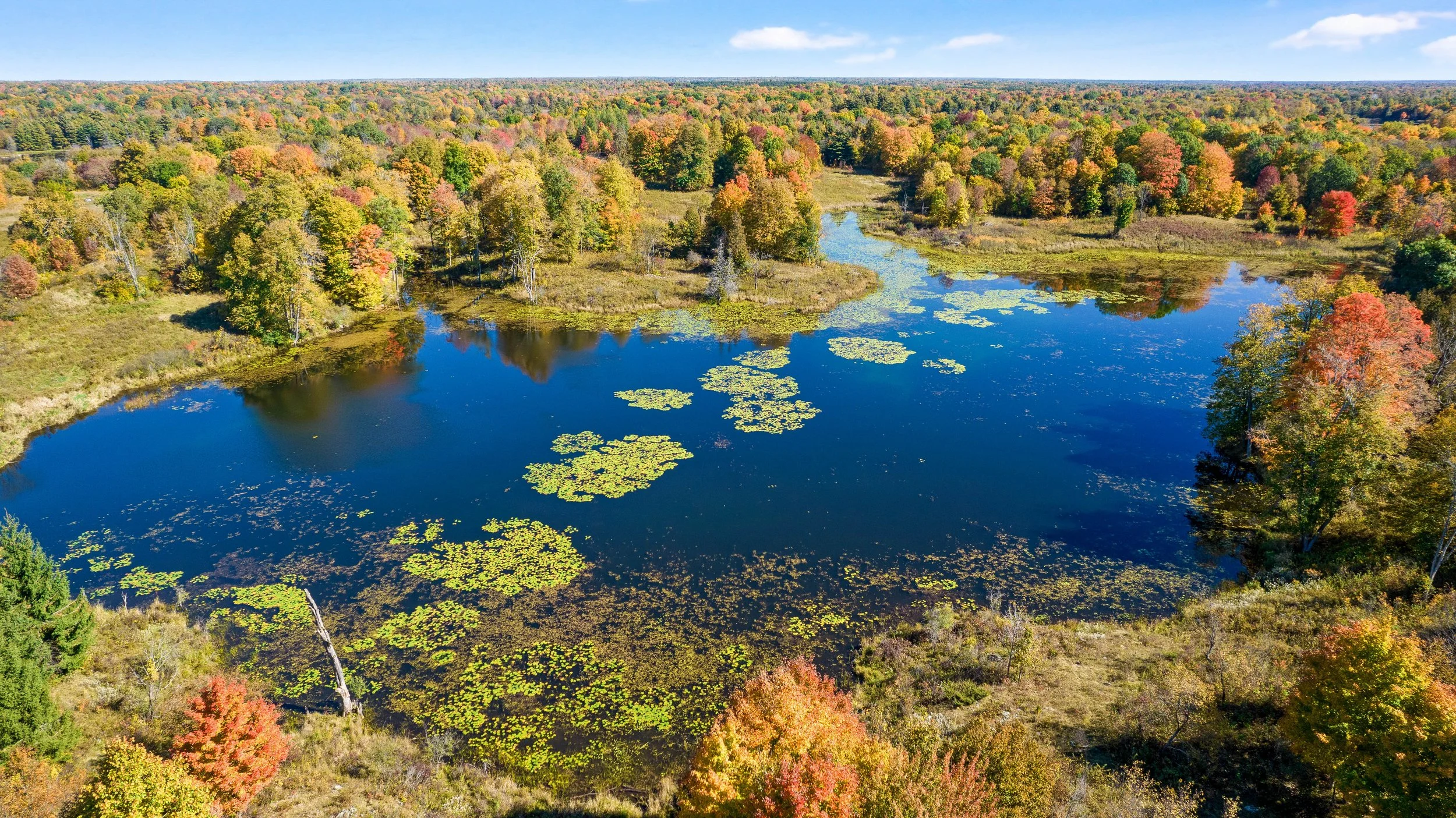 DJI_0163.JPG