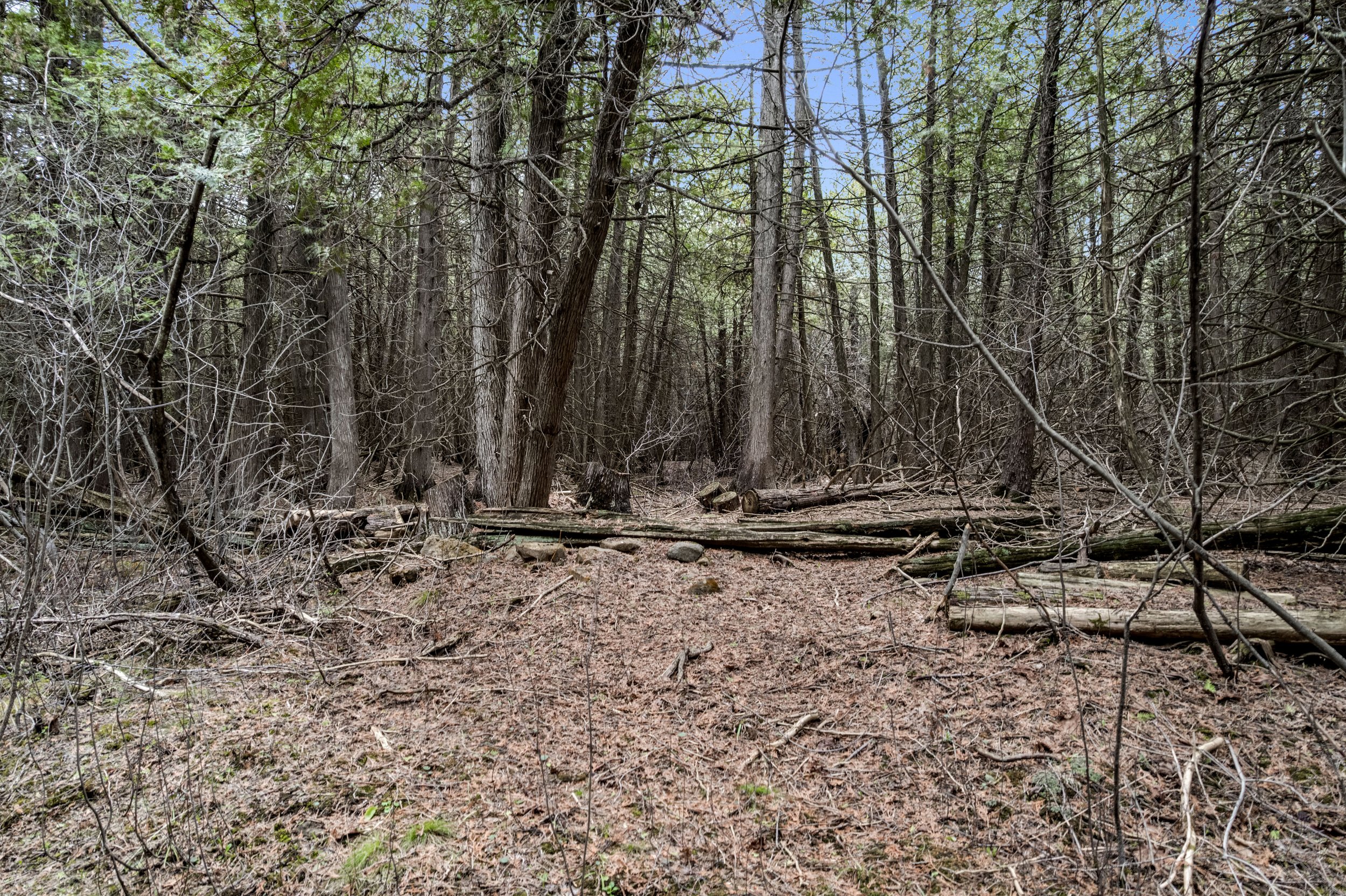 g dji_0159-dji_0163.JPG