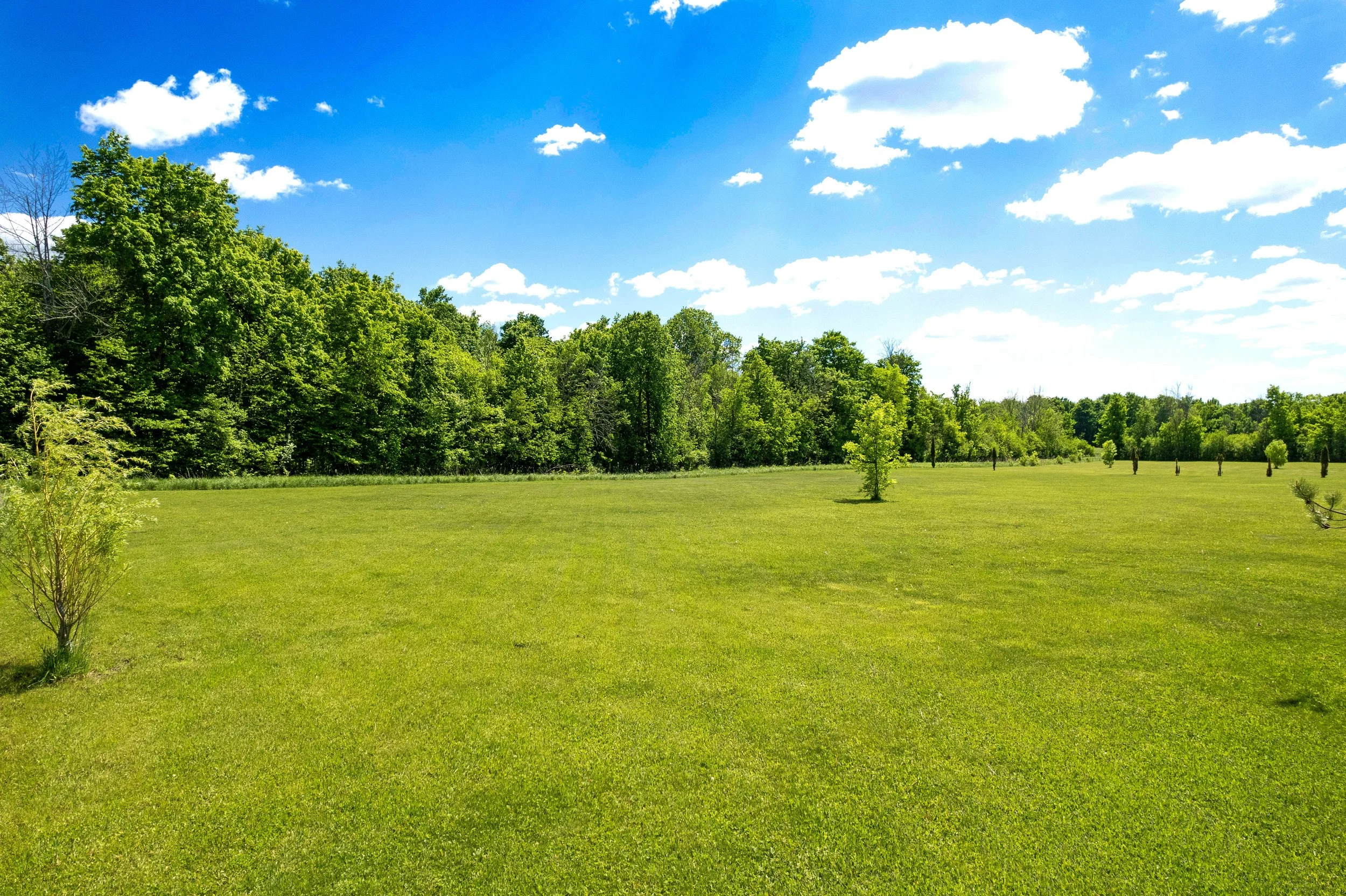 DJI_0268.JPG