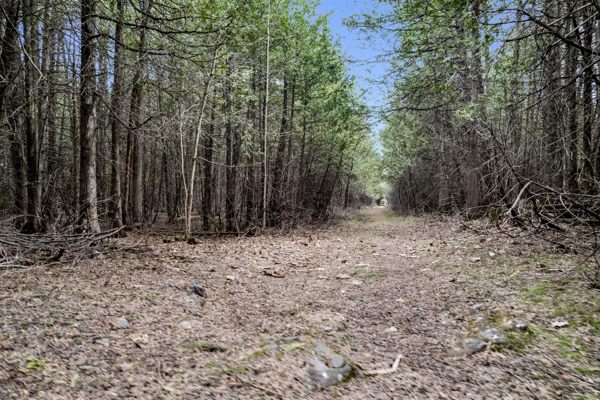 g dji_0139-dji_0143.JPG