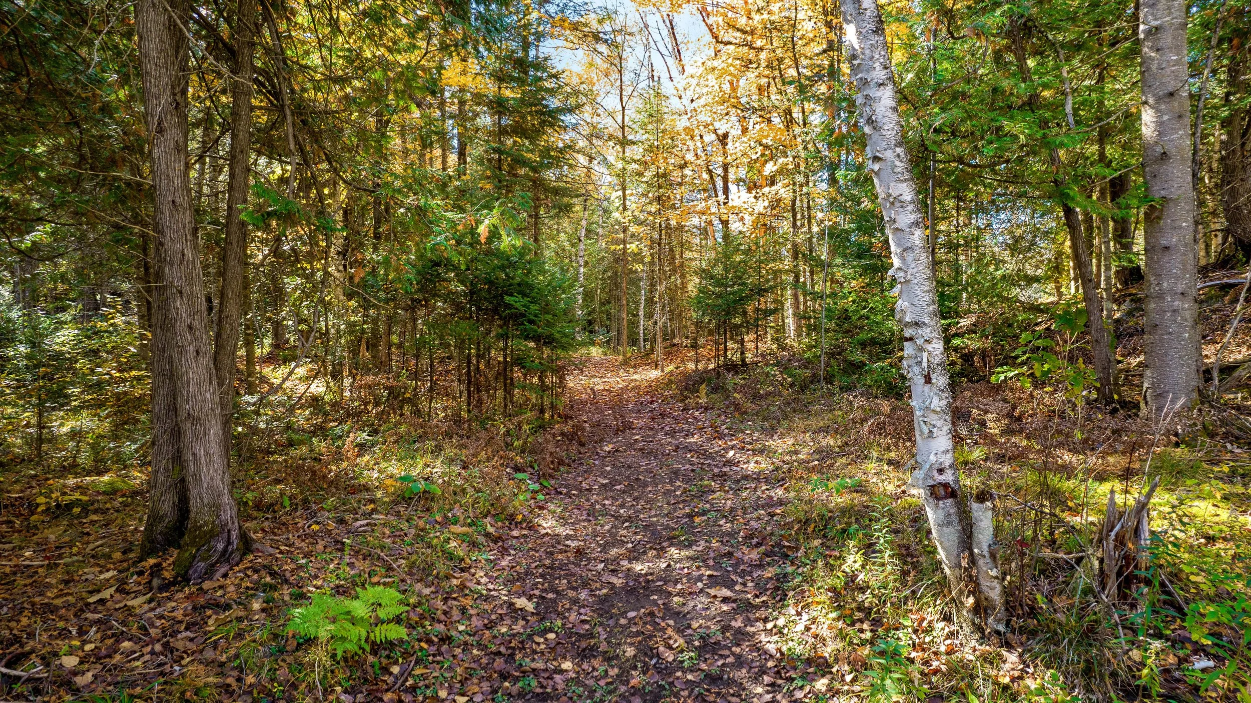 DJI_0323.JPG