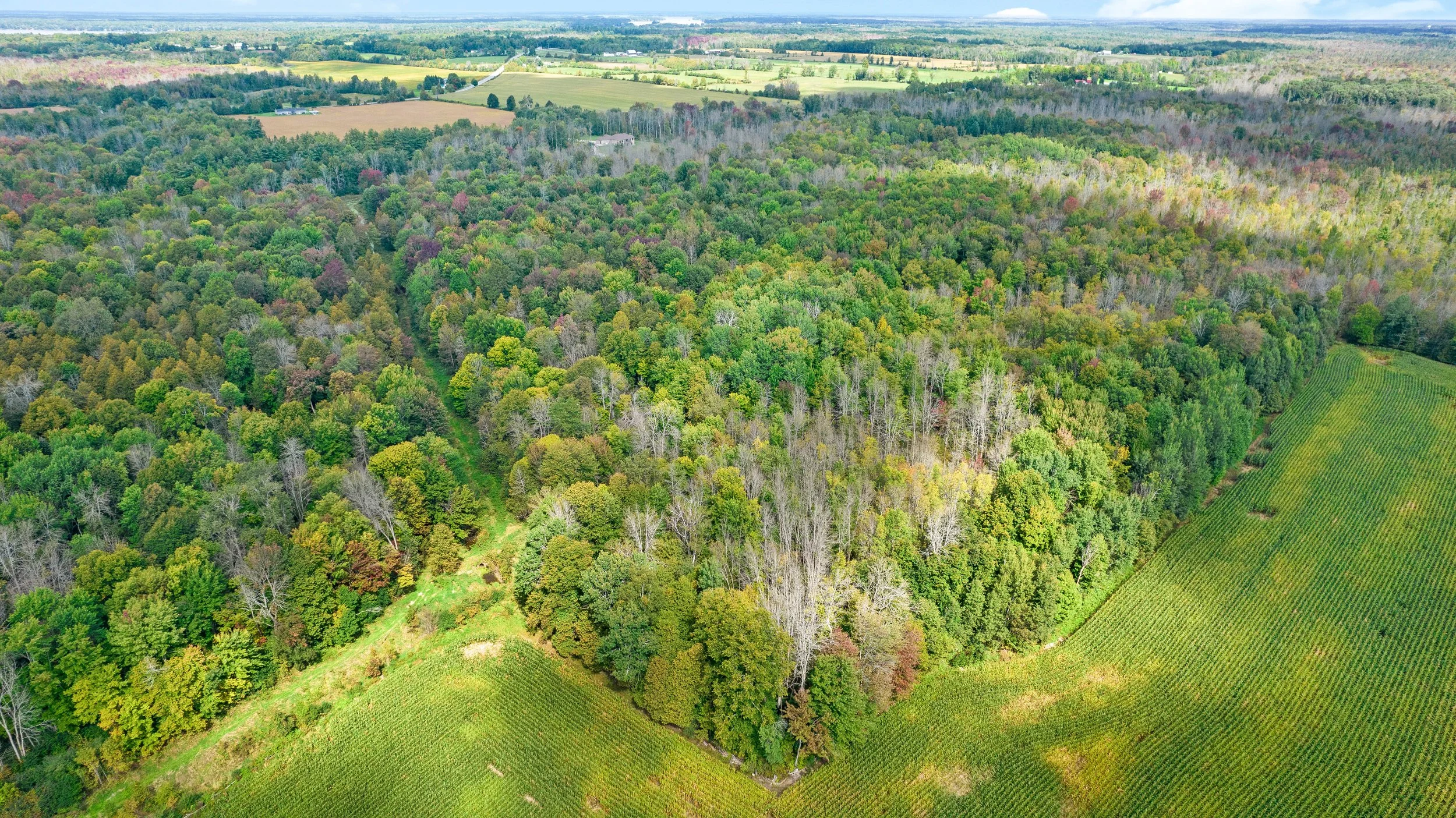 DJI_0043.JPG