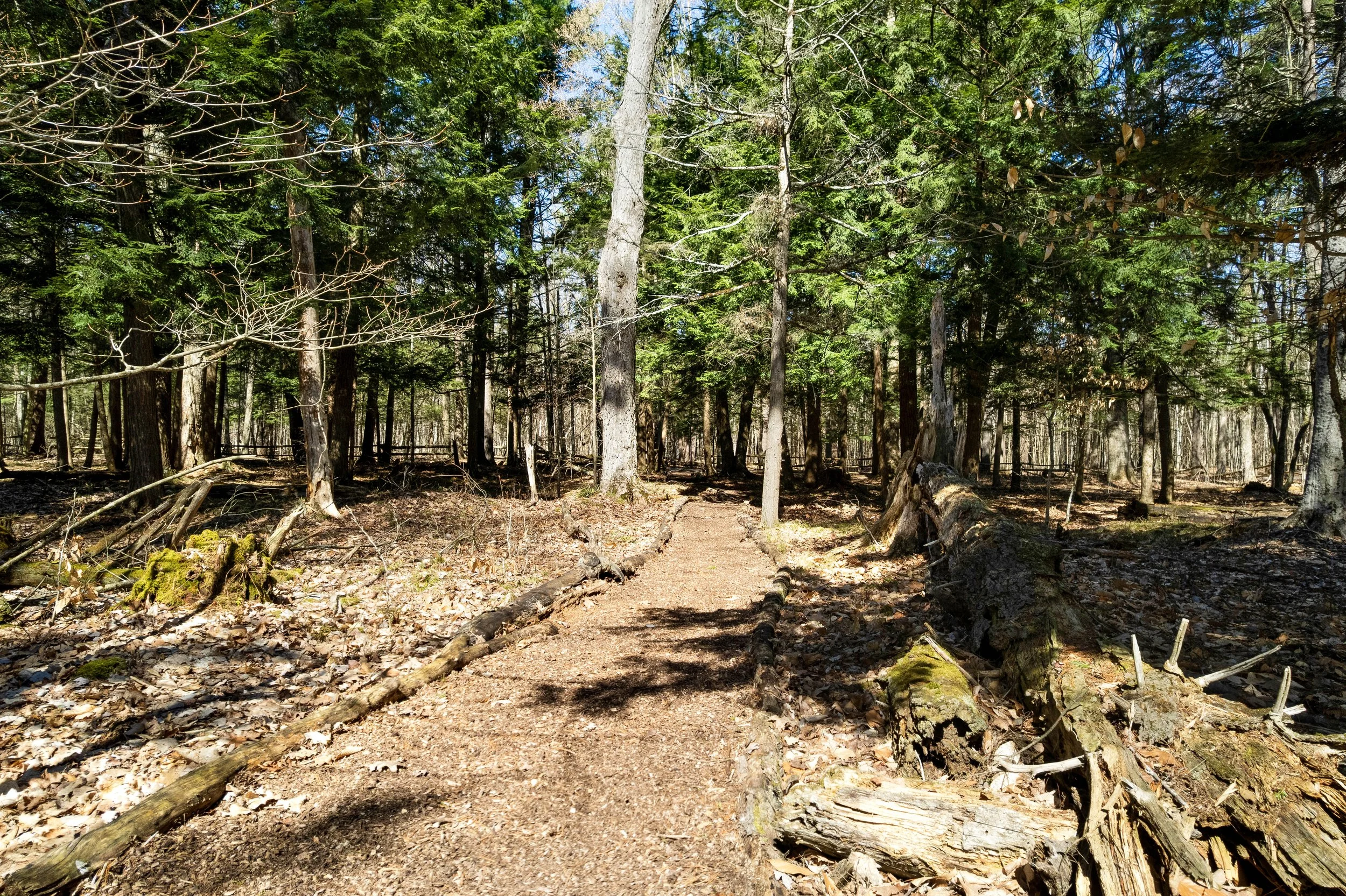 DJI_0140.JPG