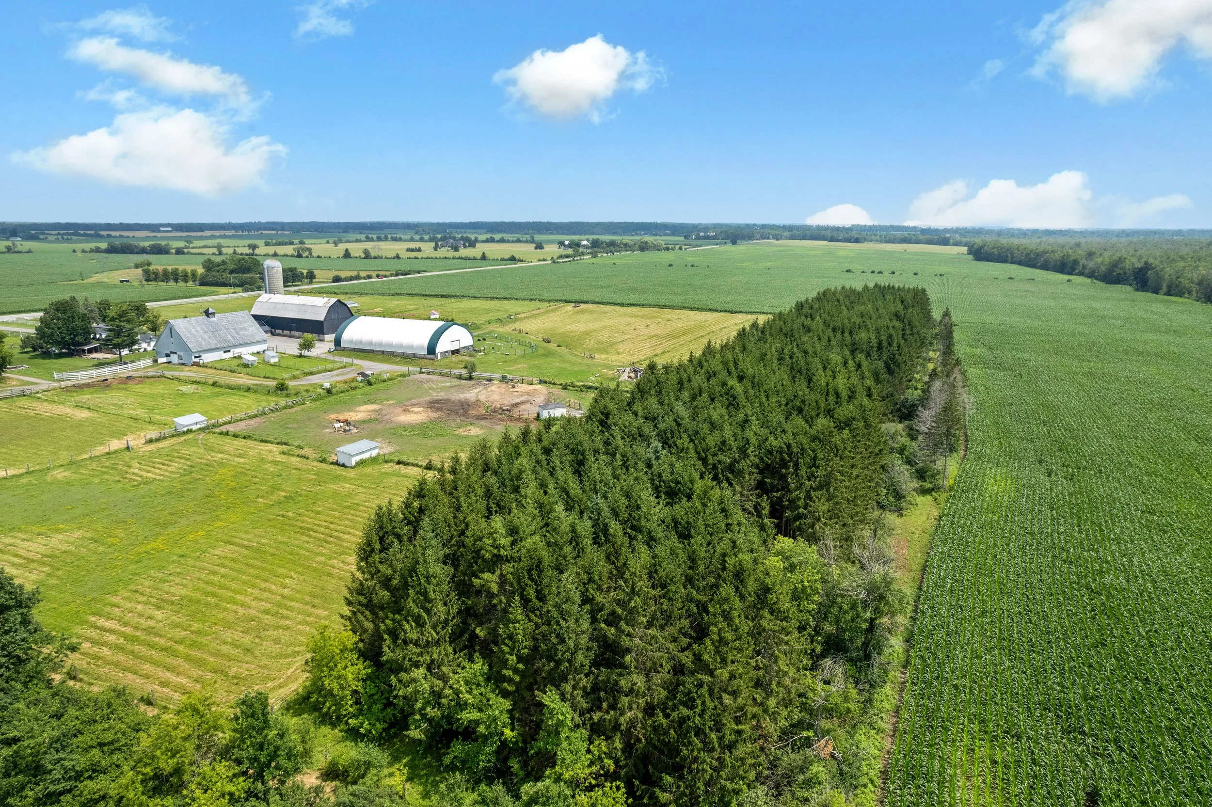 DJI_0061.JPG